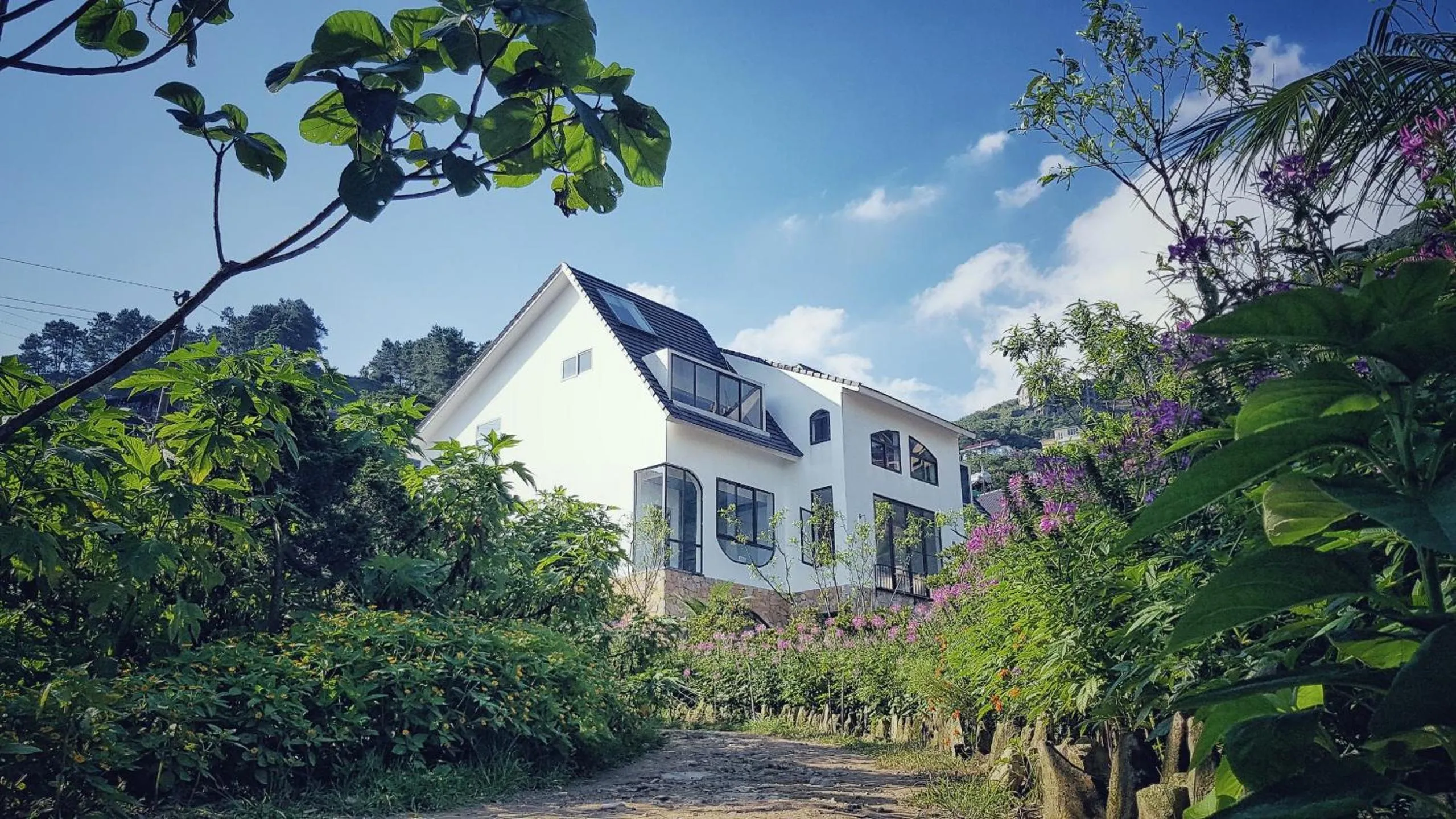 Le vent Tam Đảo homestay