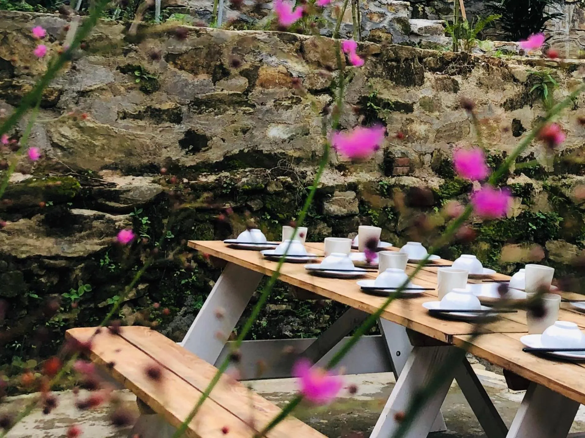 Le vent Tam Đảo homestay