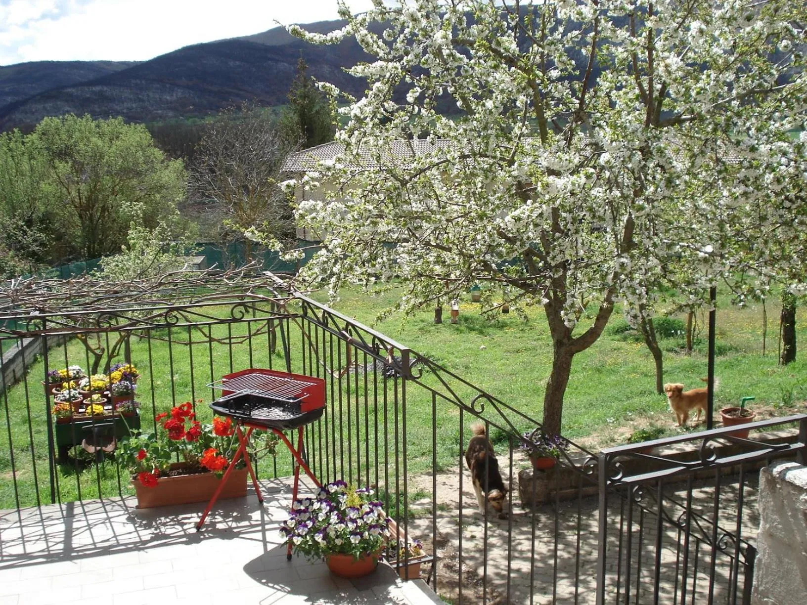 BBQ facilities in Abruzzo Segreto
