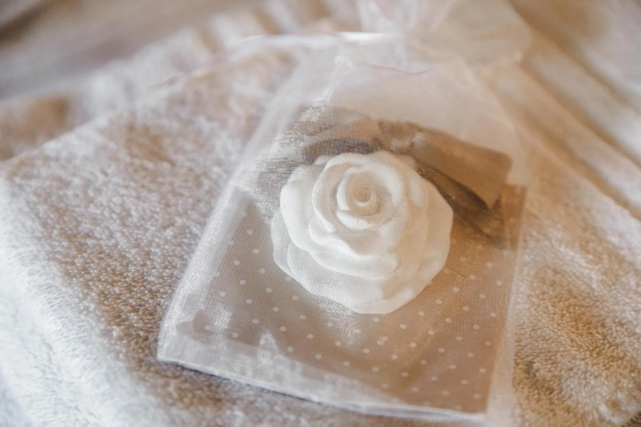 B&B AL VECCHIO CARPINO