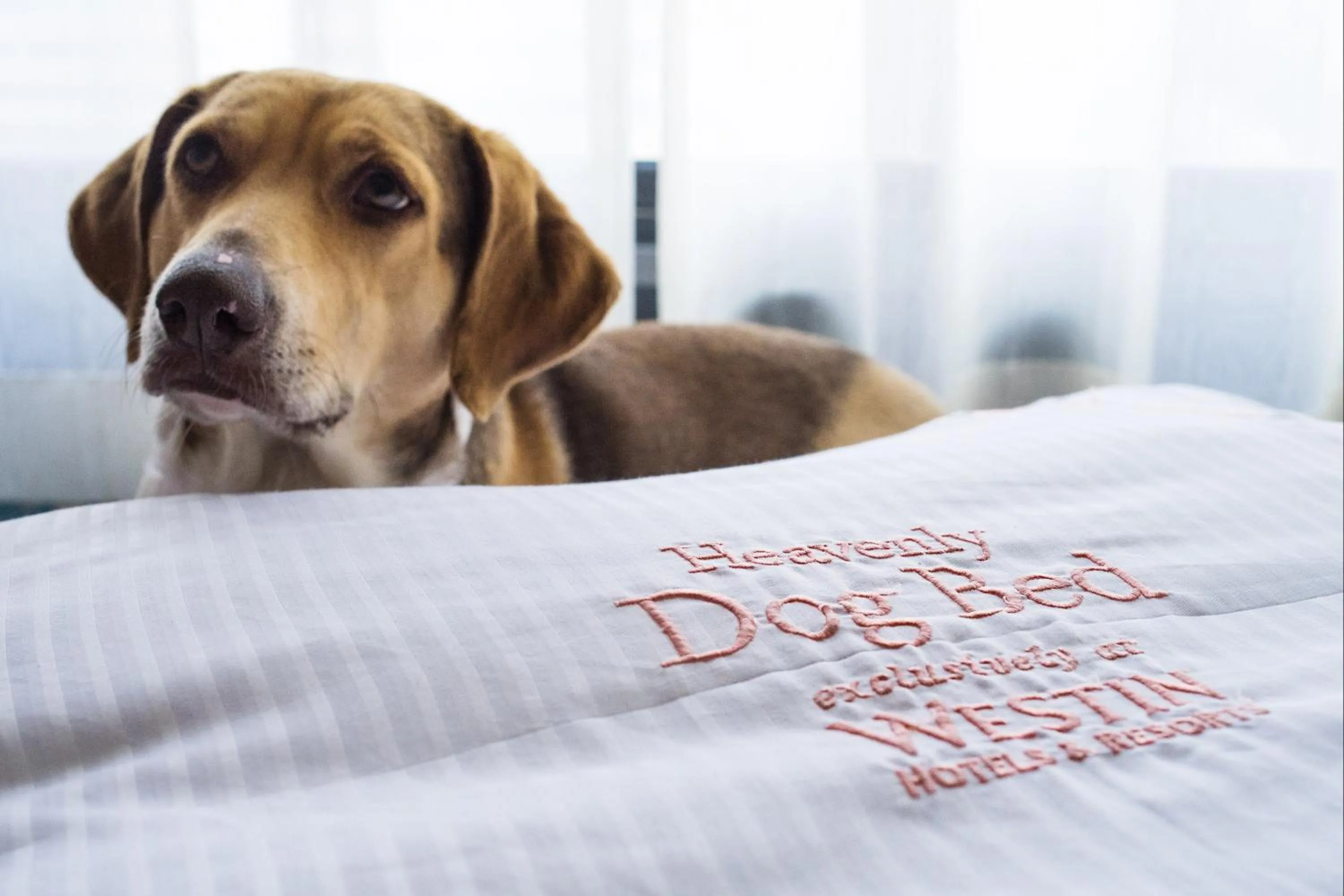 Other in The Westin Crystal City Reagan National Airport