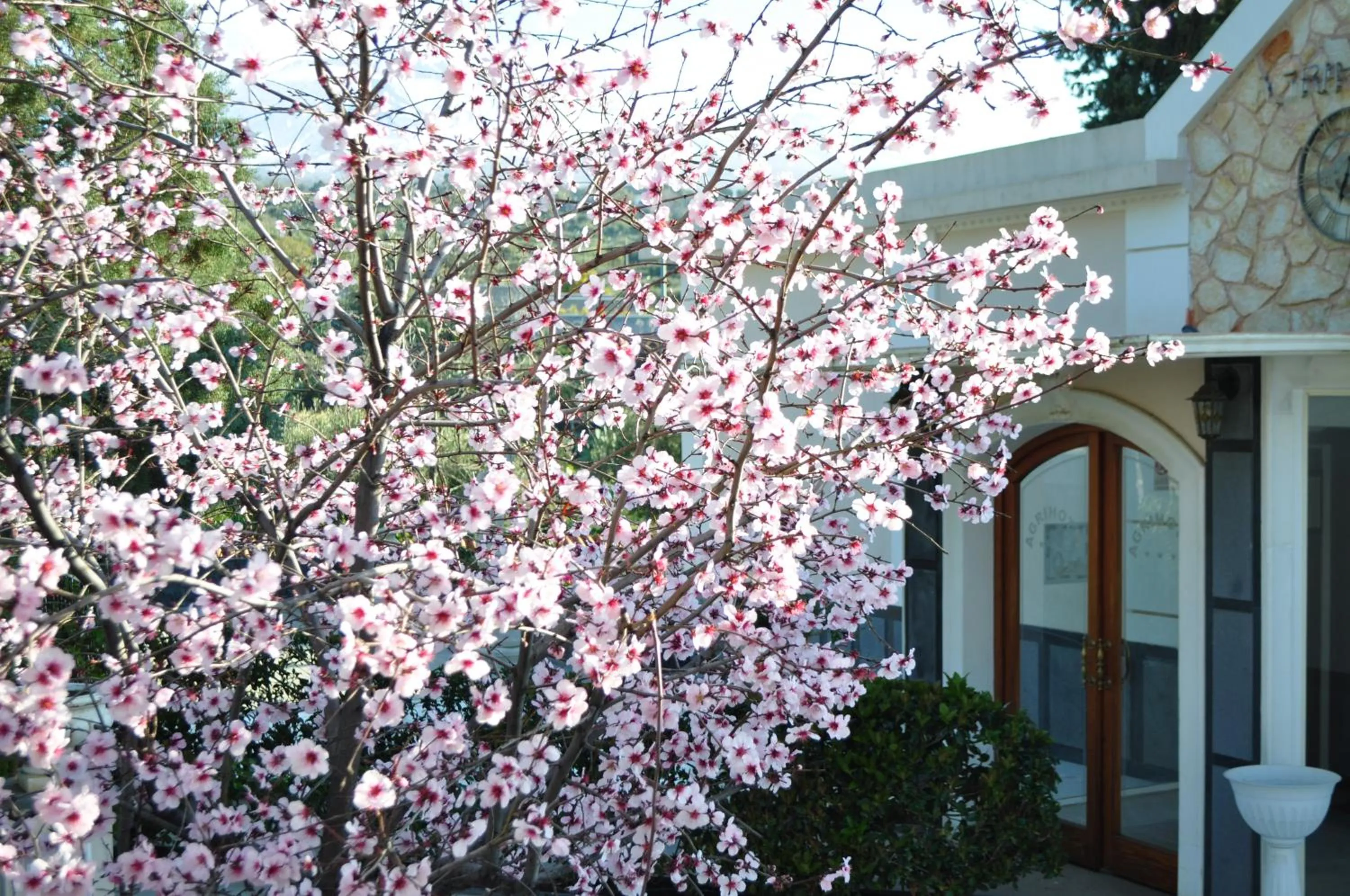 Agri Art Croce Vallone