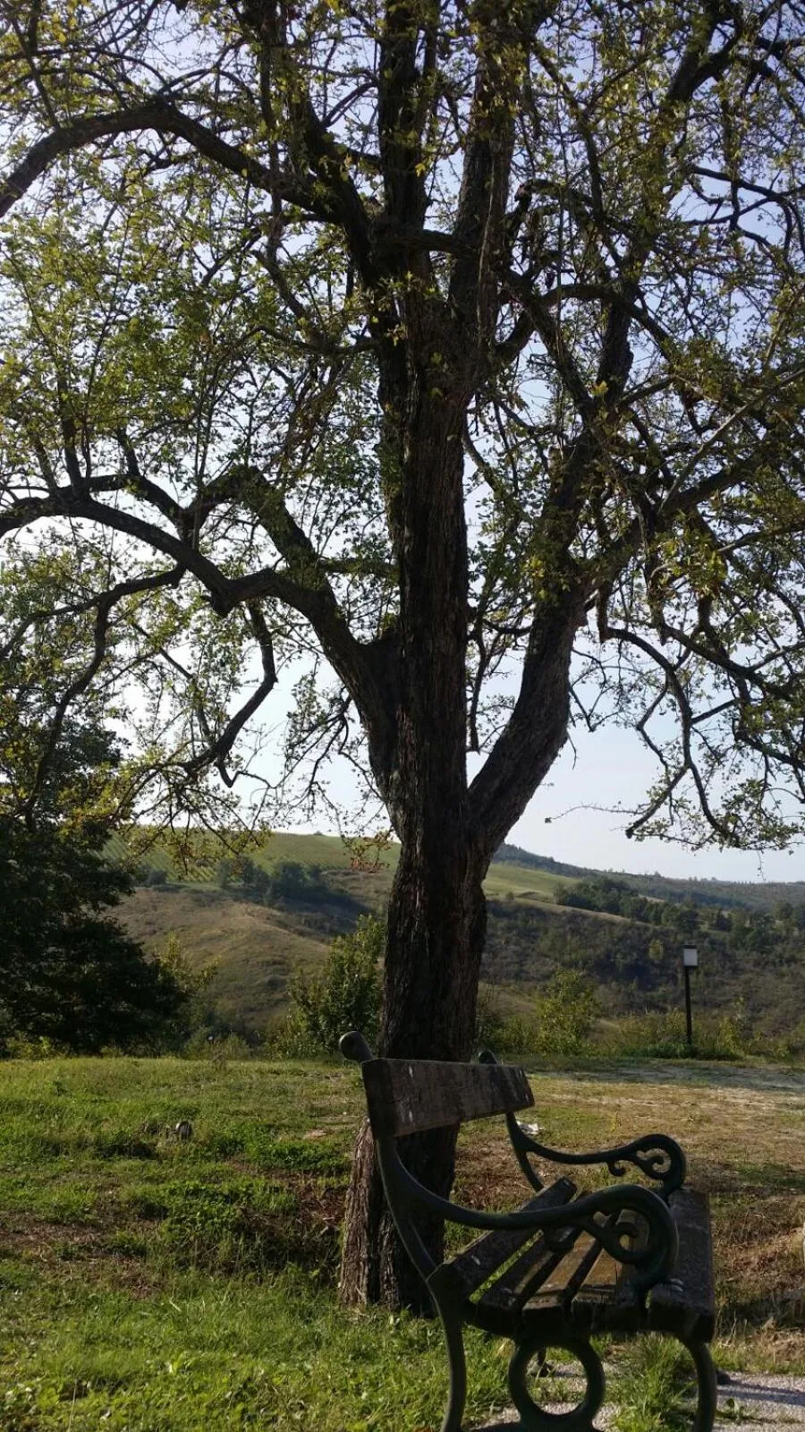Patio in Agriturismo Ben Ti Voglio