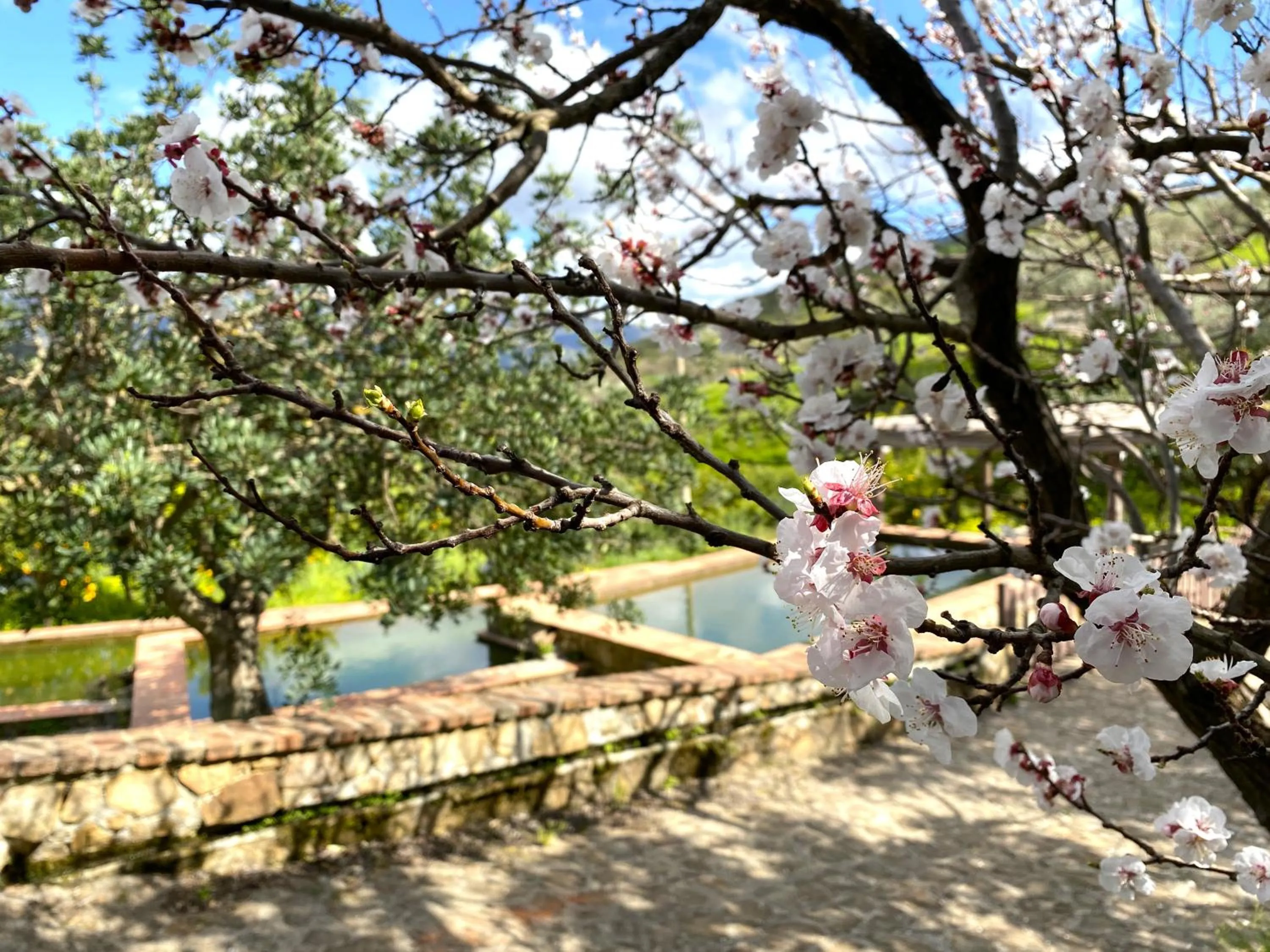 Garden in Azienda Agrituristica Bergi