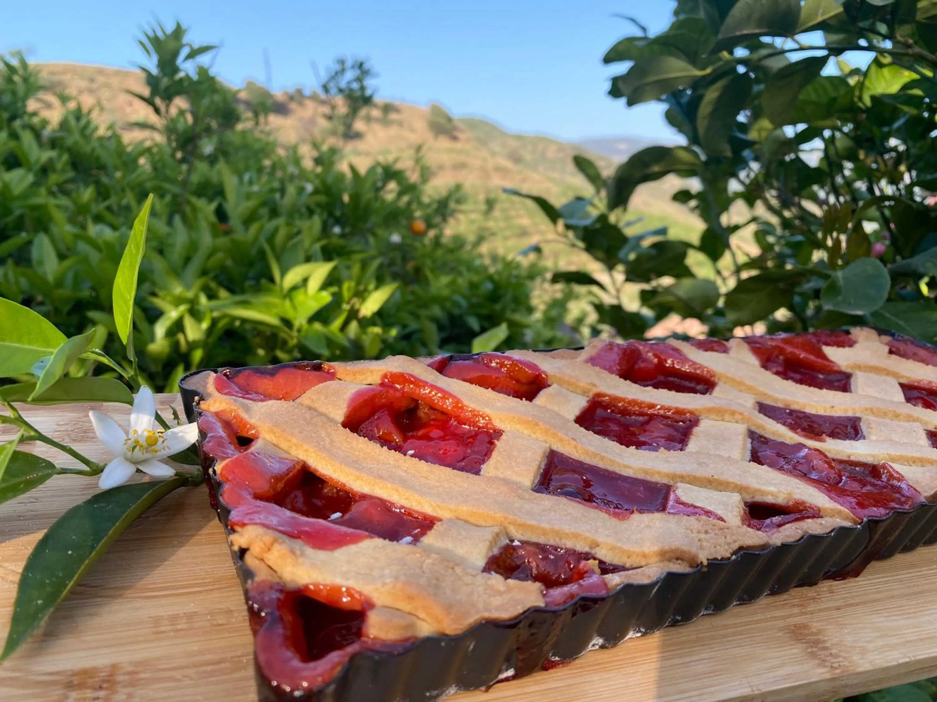 Food close-up in Azienda Agrituristica Bergi