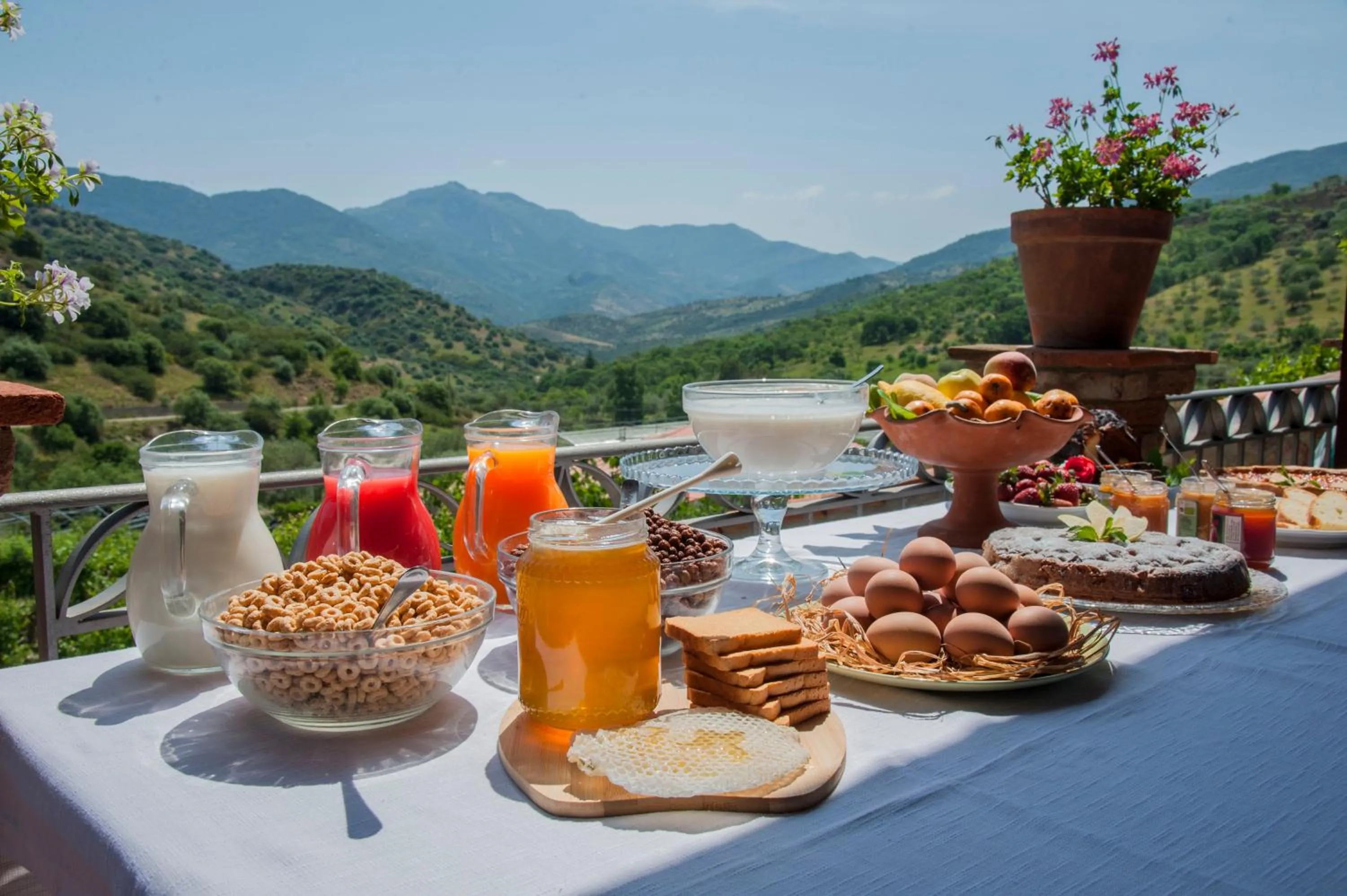 Continental breakfast in Azienda Agrituristica Bergi