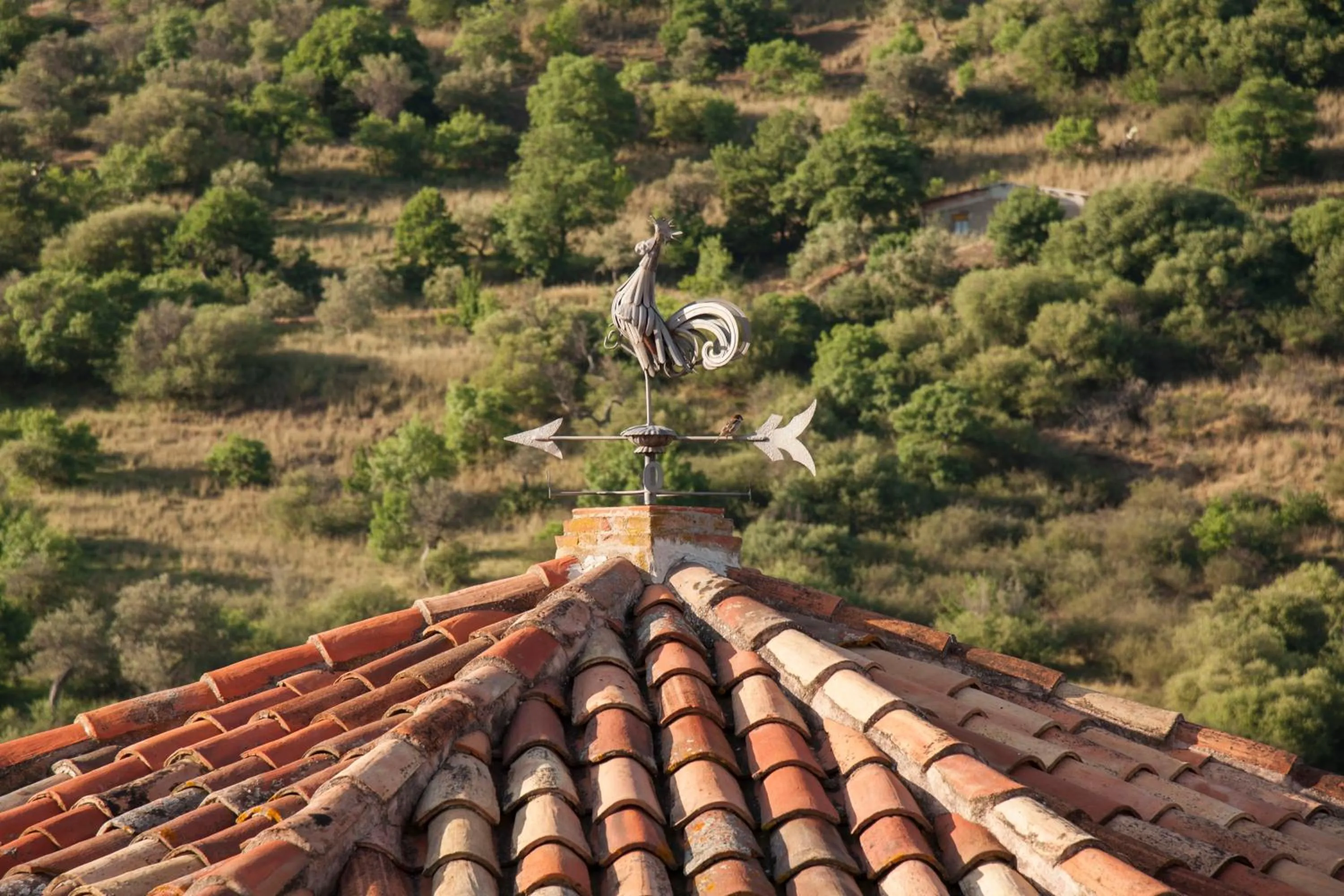 Property building in Azienda Agrituristica Bergi