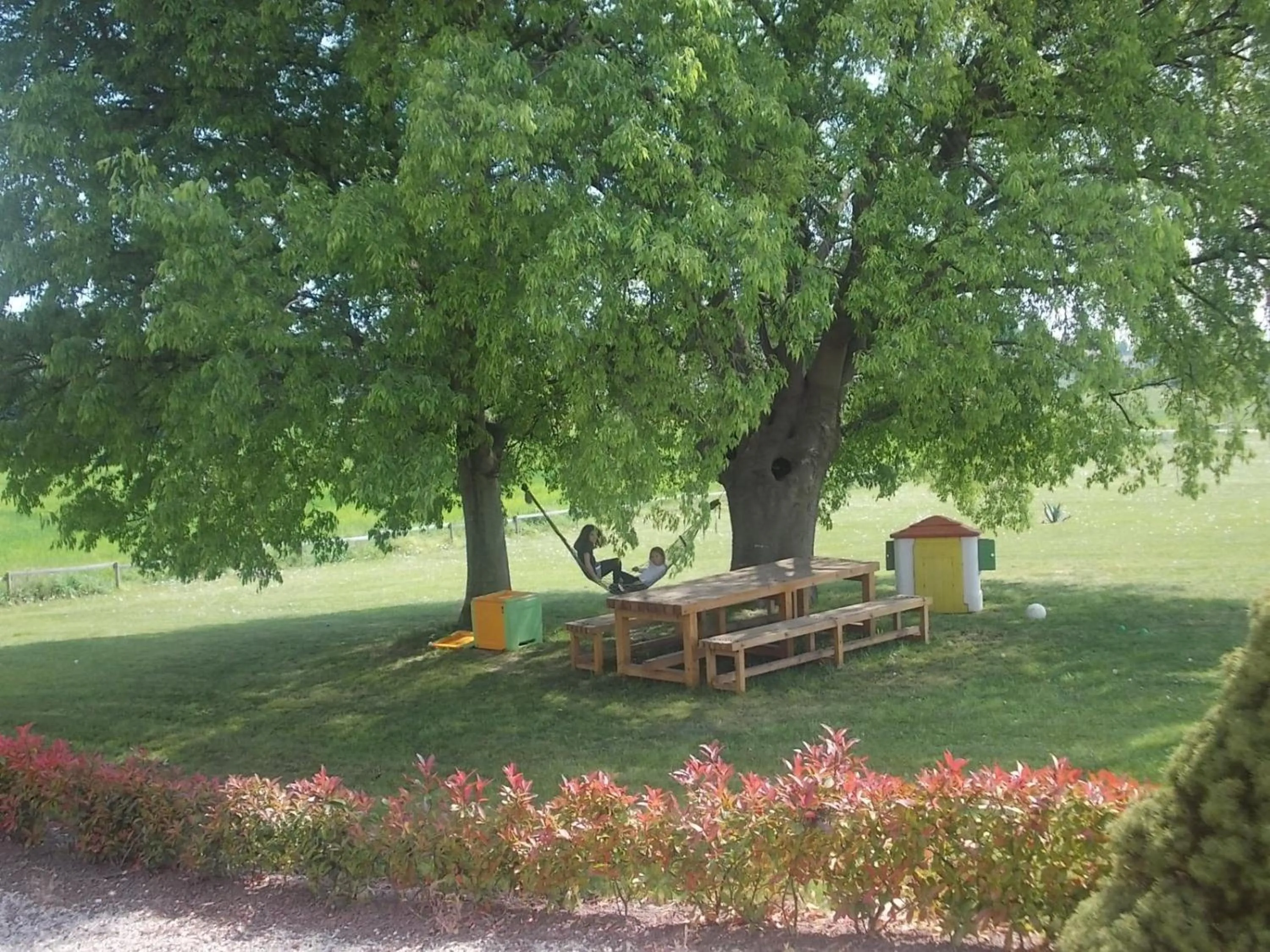 View (from property/room) in Agriturismo Bosco Del Gal