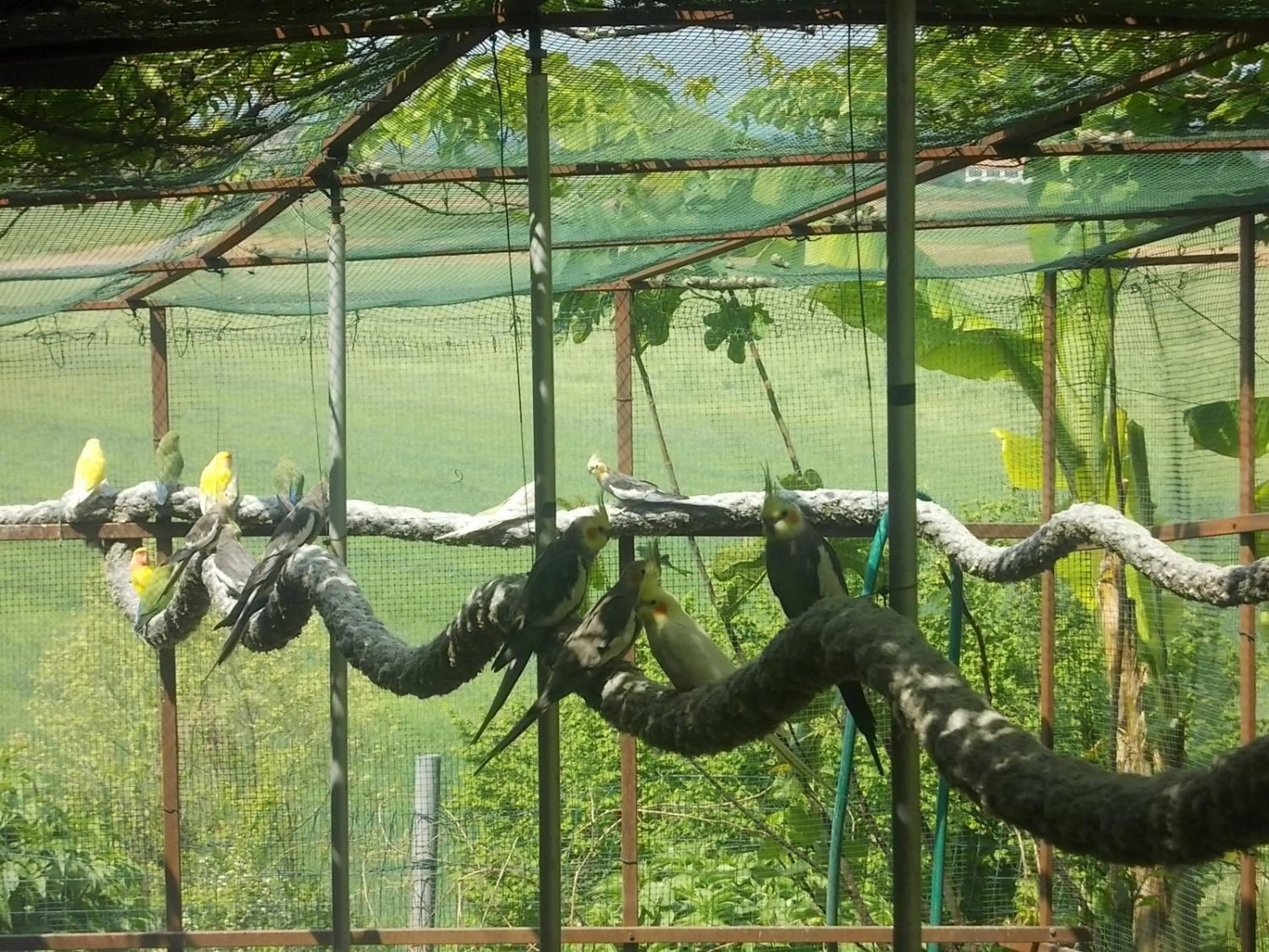 View (from property/room) in Agriturismo Bosco Del Gal