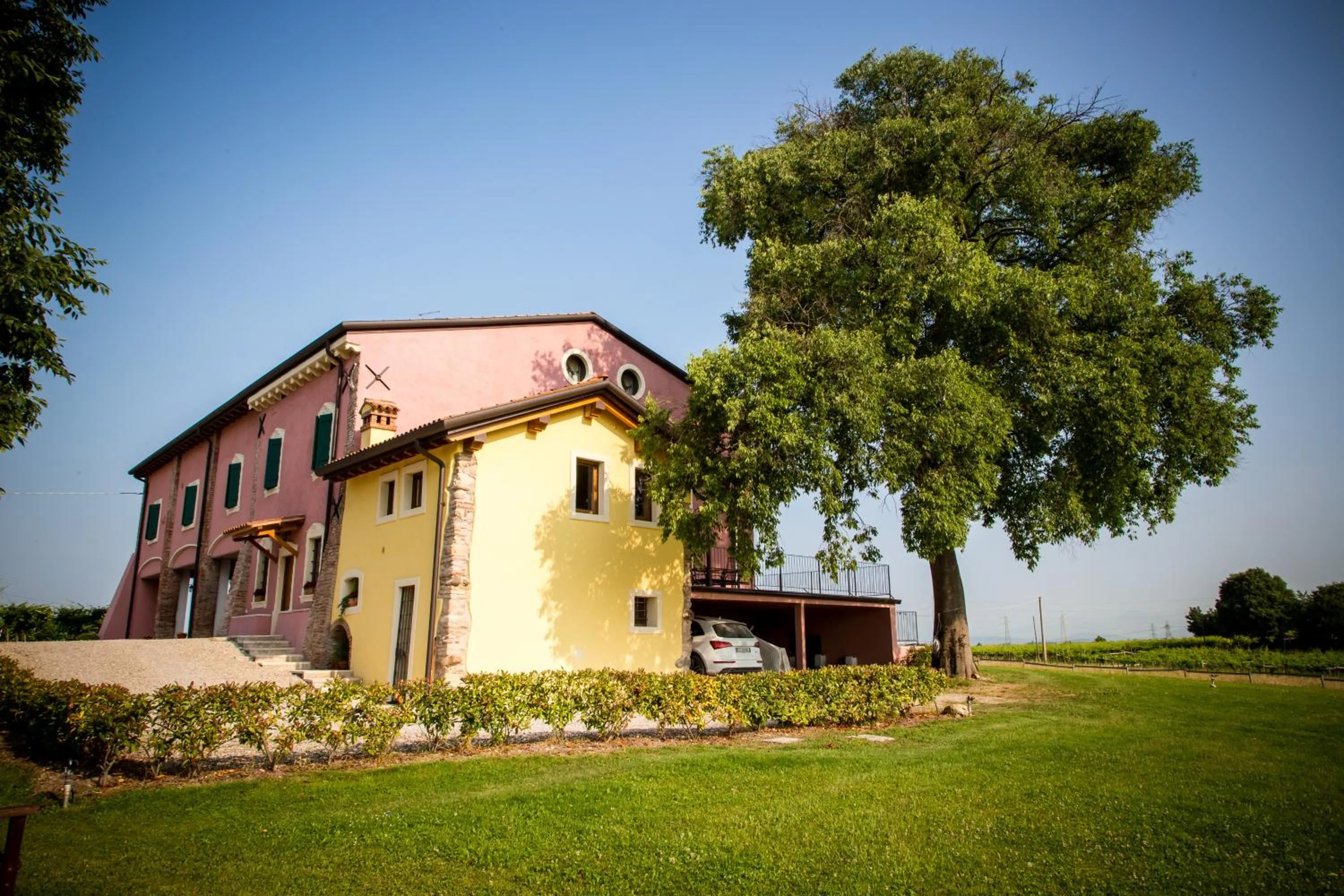 View (from property/room) in Agriturismo Bosco Del Gal