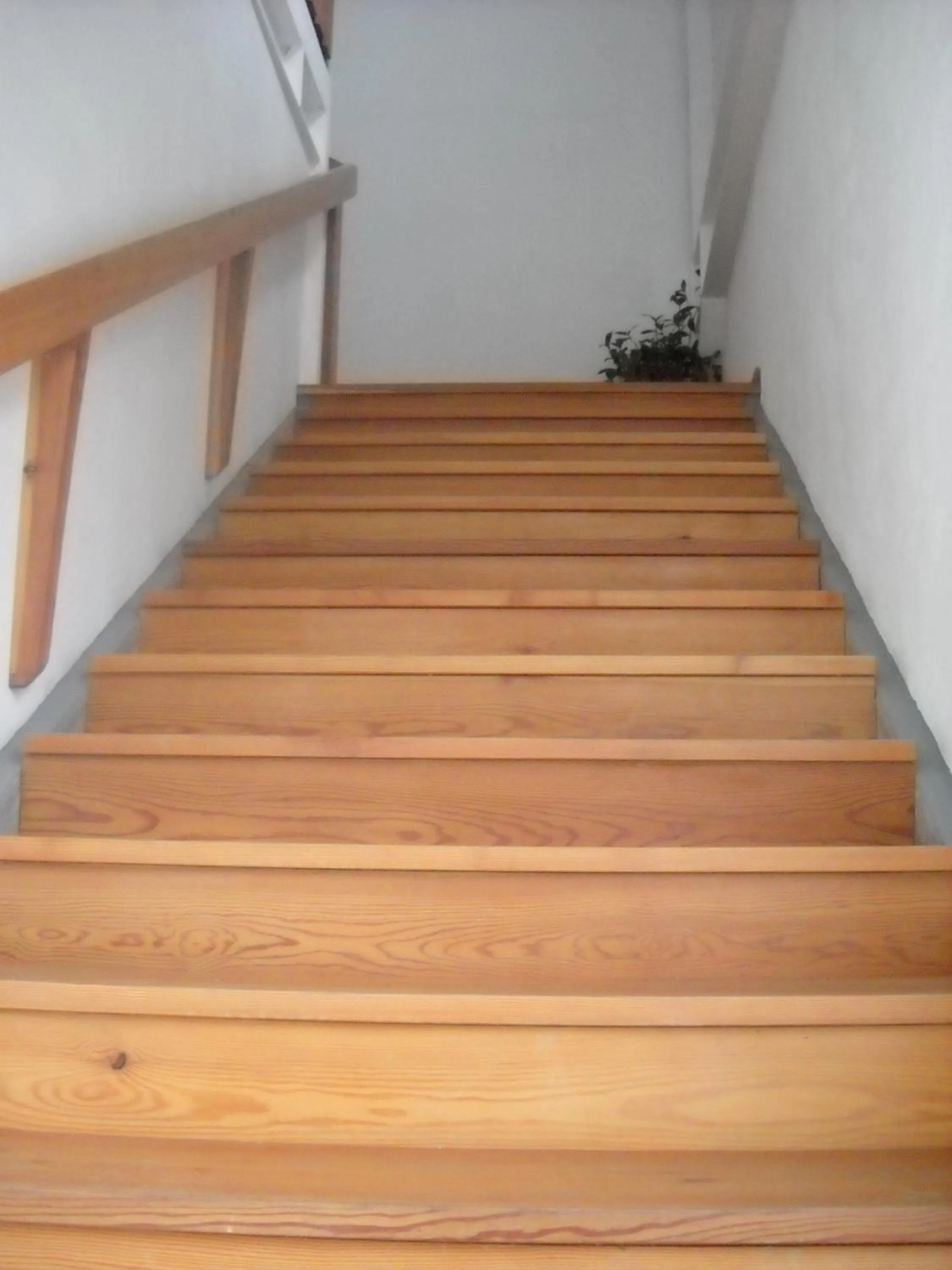 Other in Agriturismo Campi Di Grano