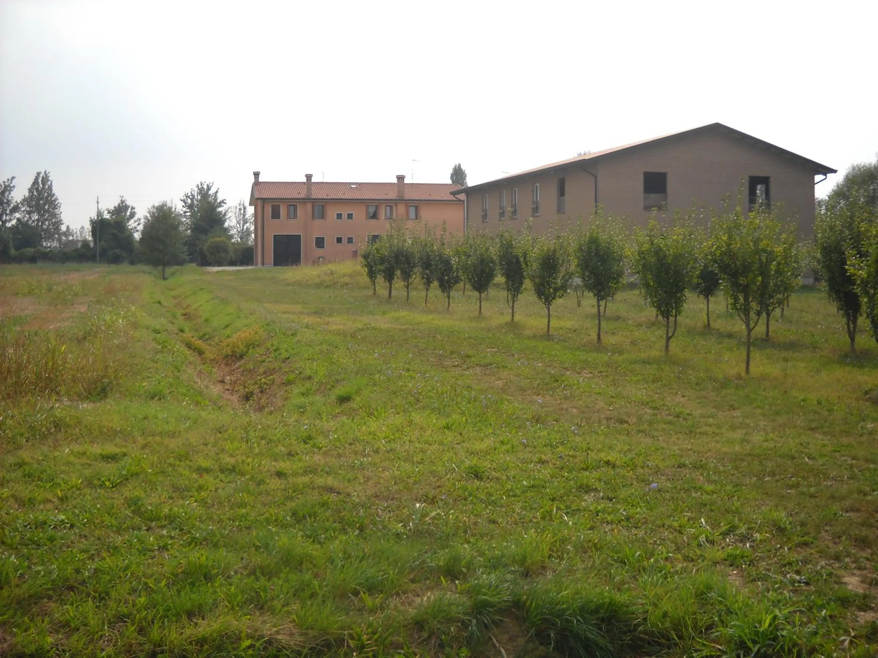 View (from property/room) in Agriturismo Campi Di Grano
