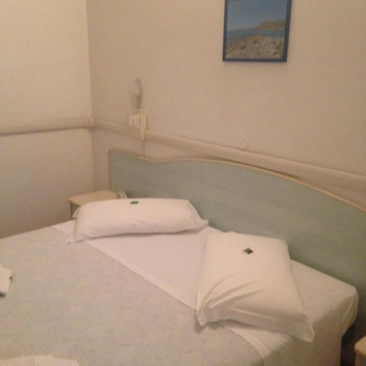 Hotel Carol
