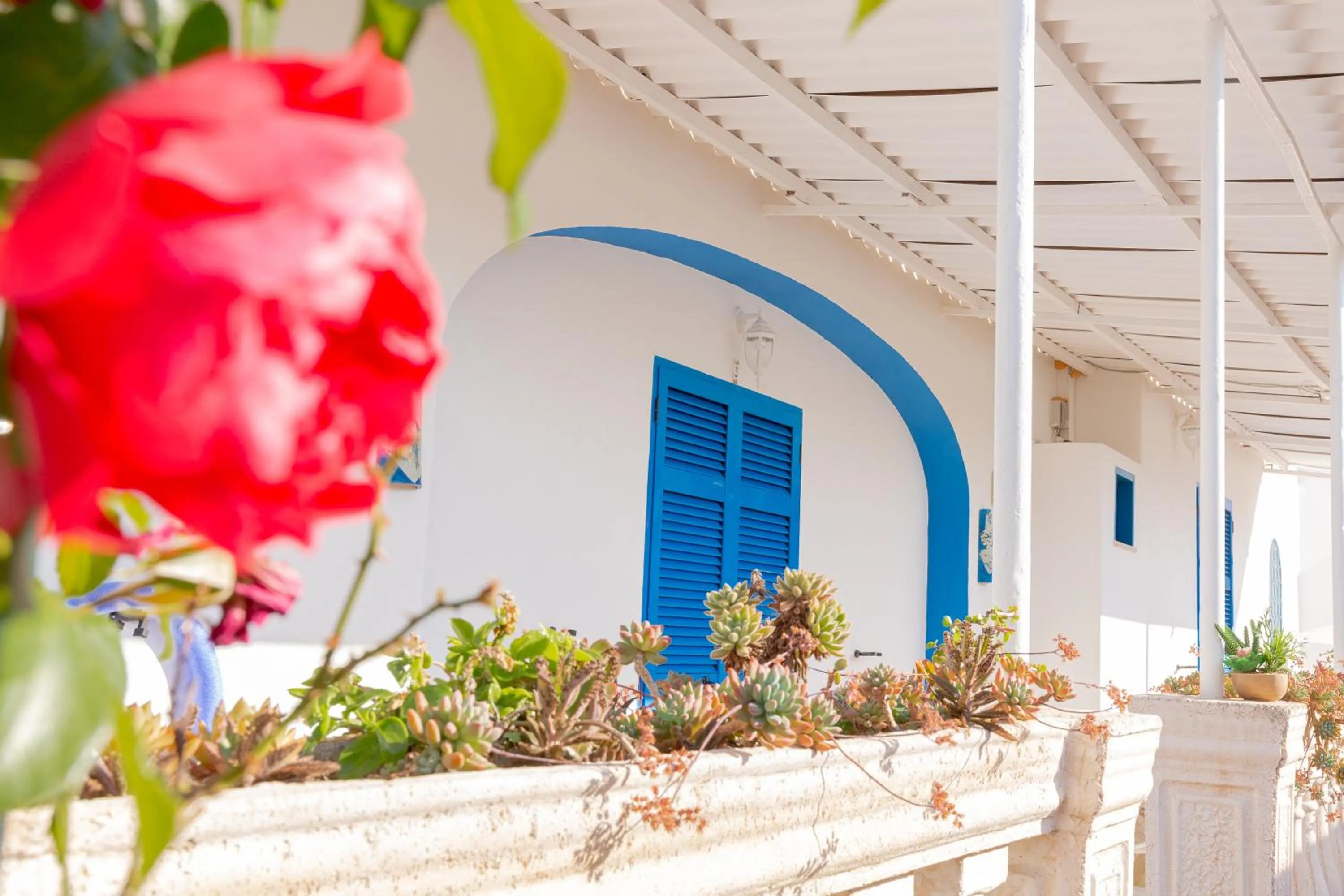 Hotel Casa Adolfo Ischia