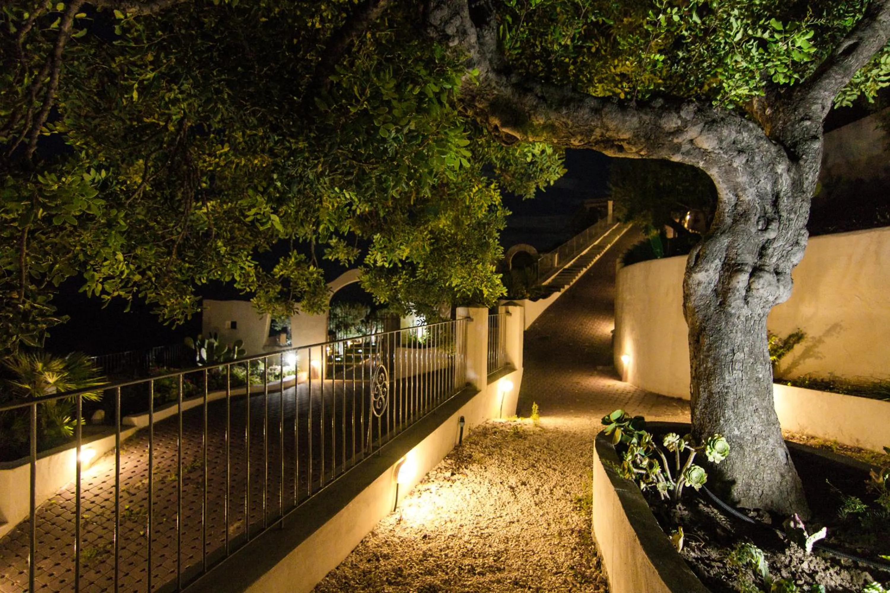 Night in Residence Montelci