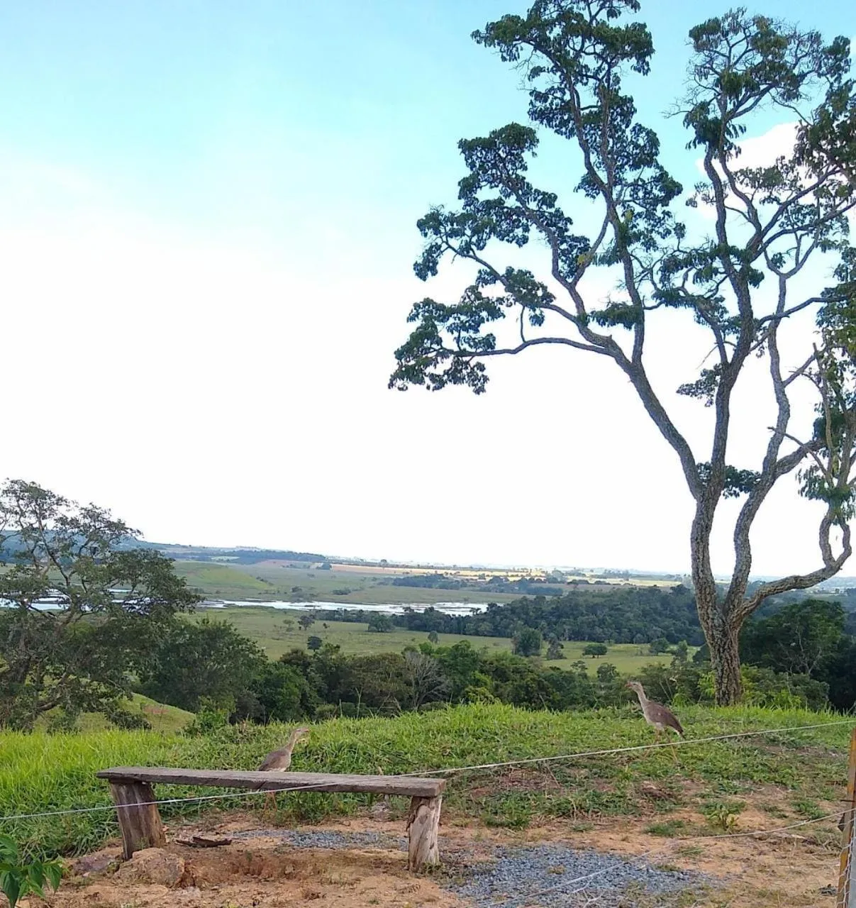 Pousada flores de ipê