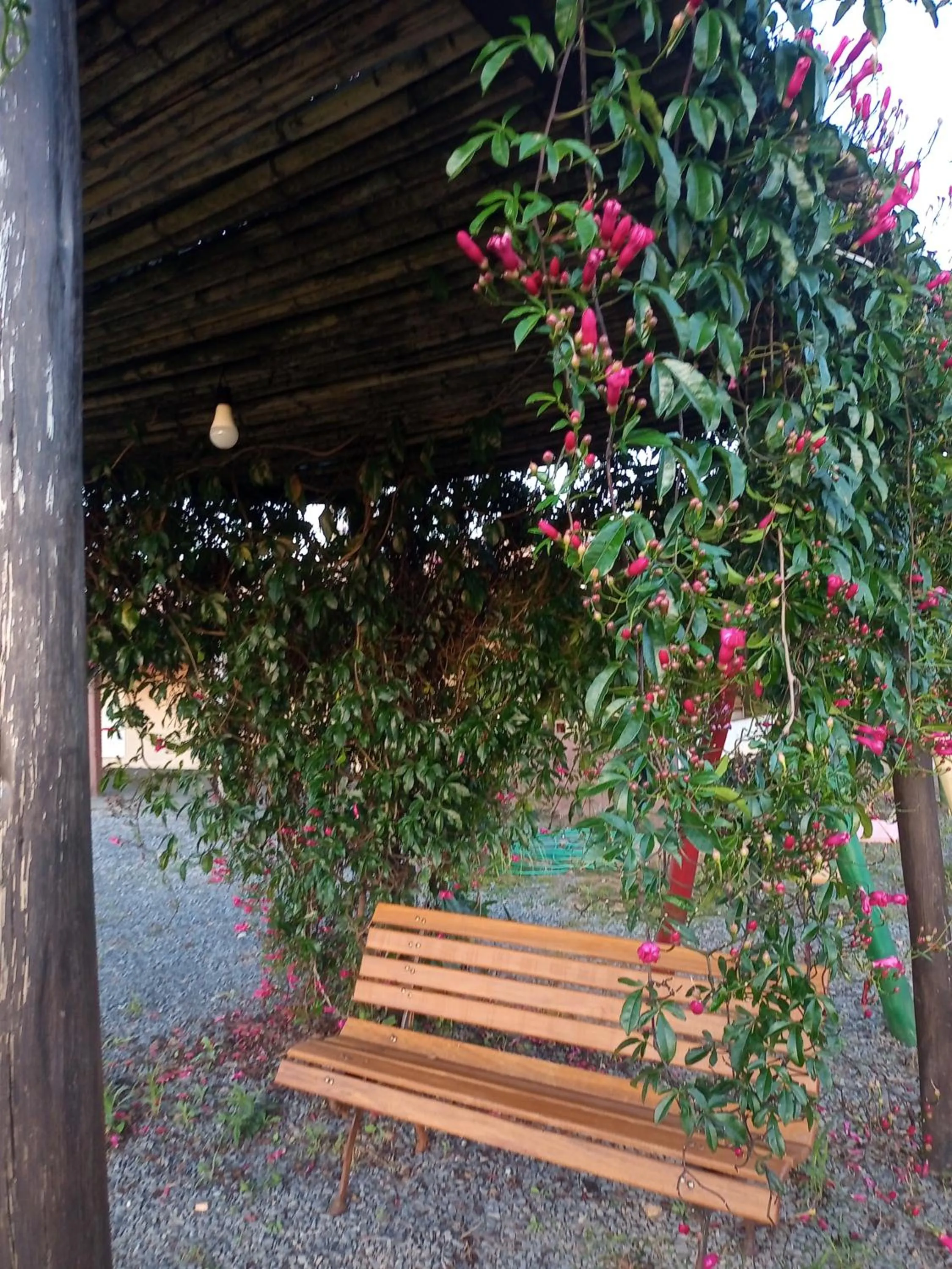 Pousada flores de ipê