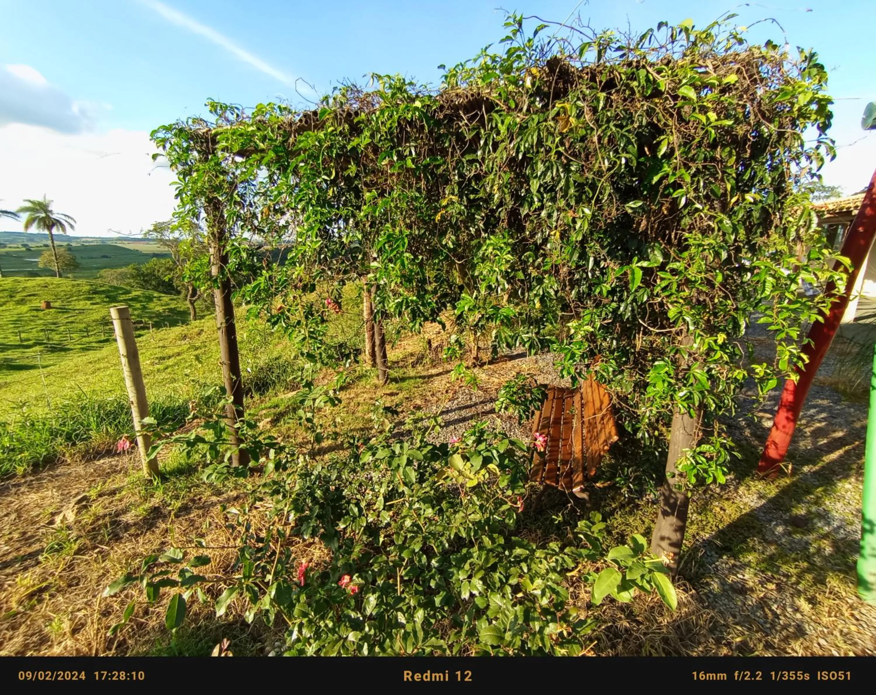Pousada flores de ipê