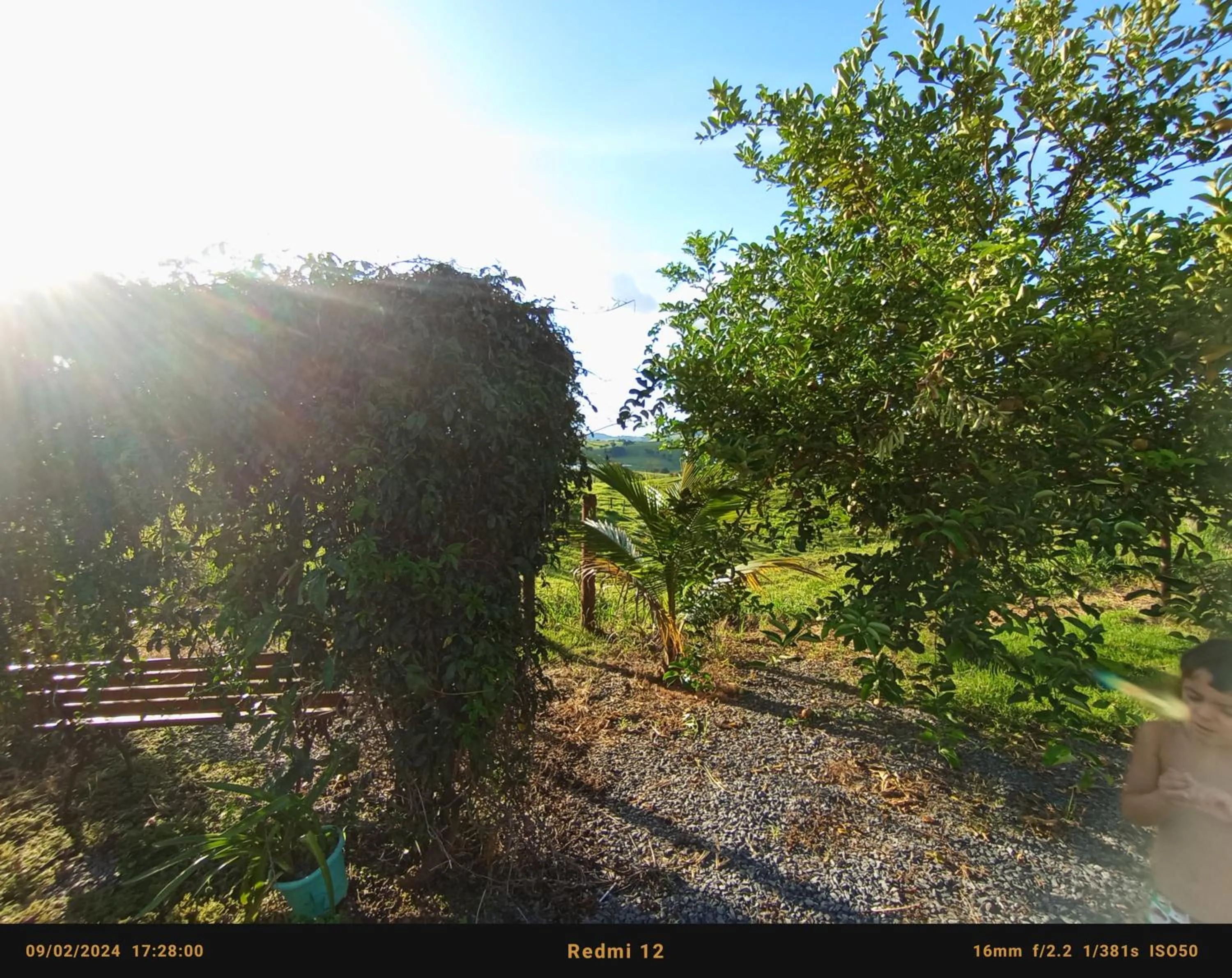 Pousada flores de ipê