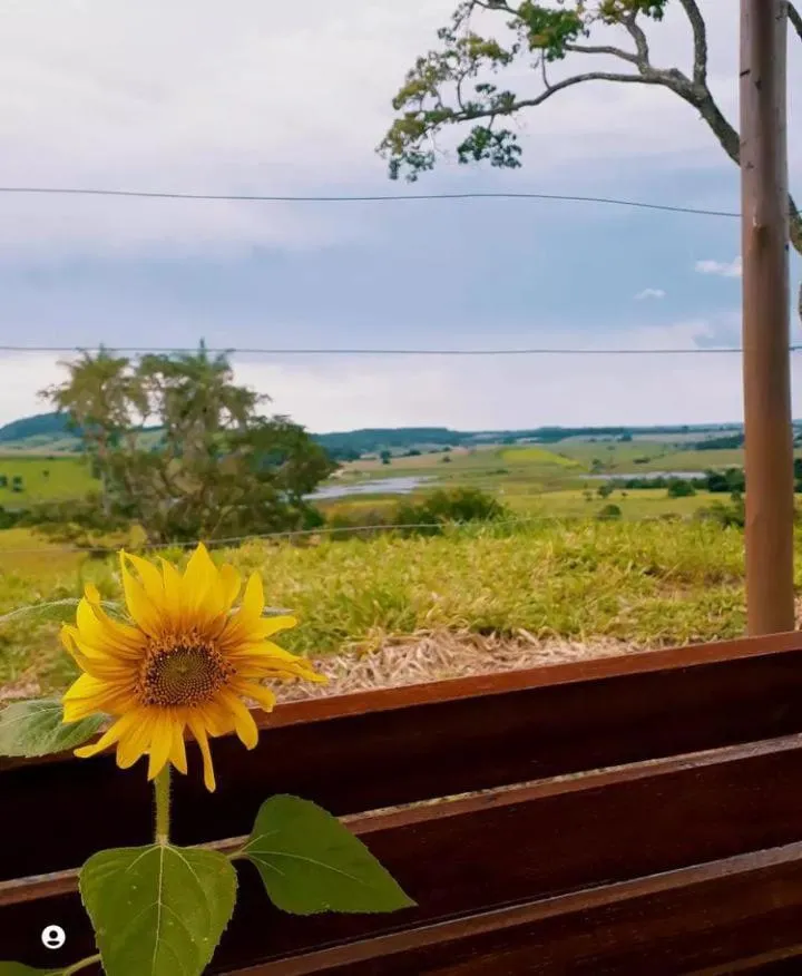 Pousada flores de ipê