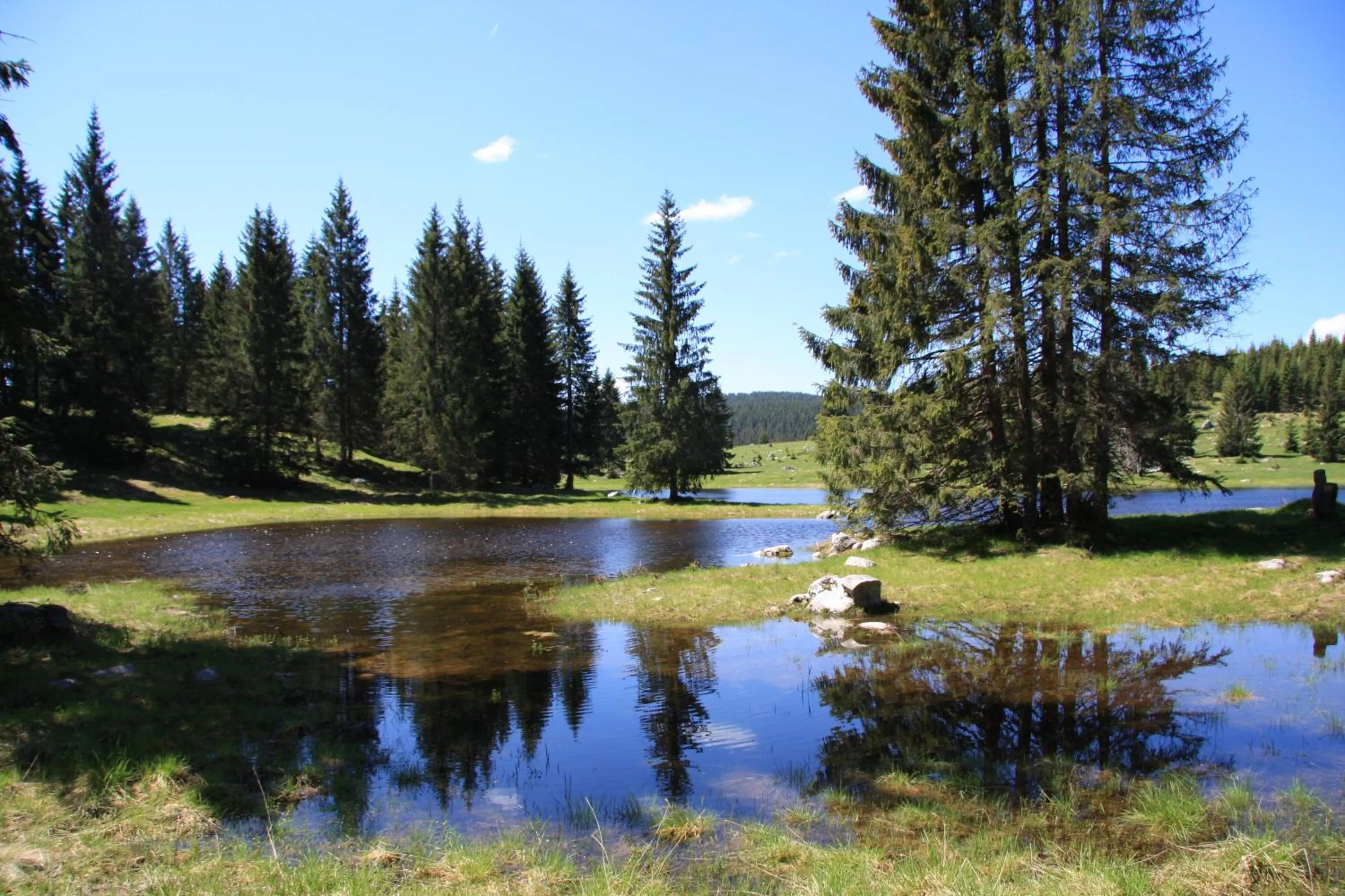 Nearby landmark in Hotel Alpi - Foza