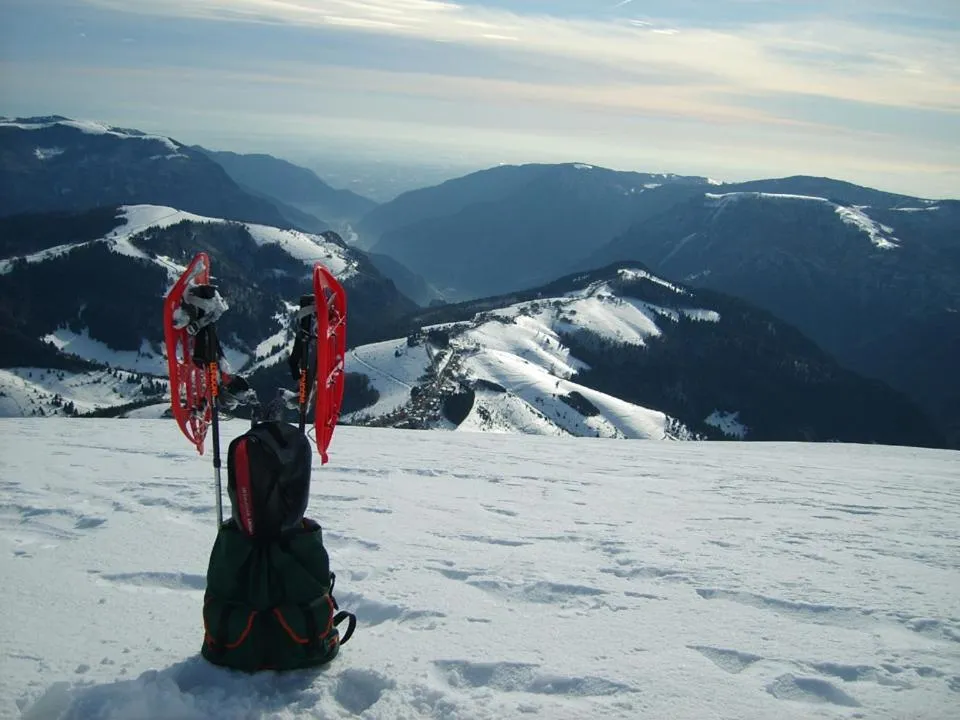 Natural landscape in Hotel Alpi - Foza