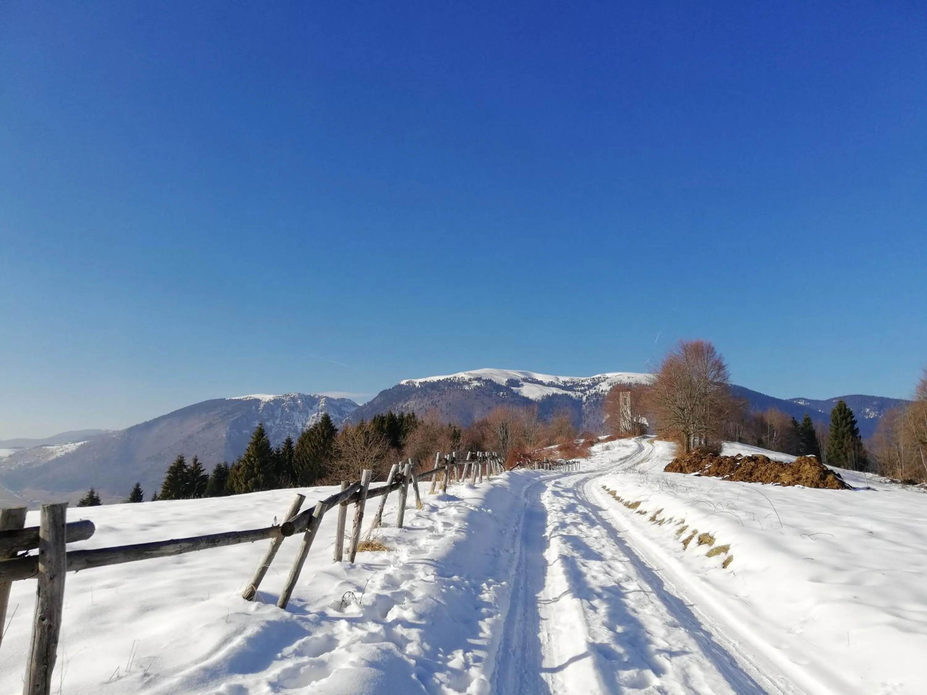 Natural landscape in Hotel Alpi - Foza