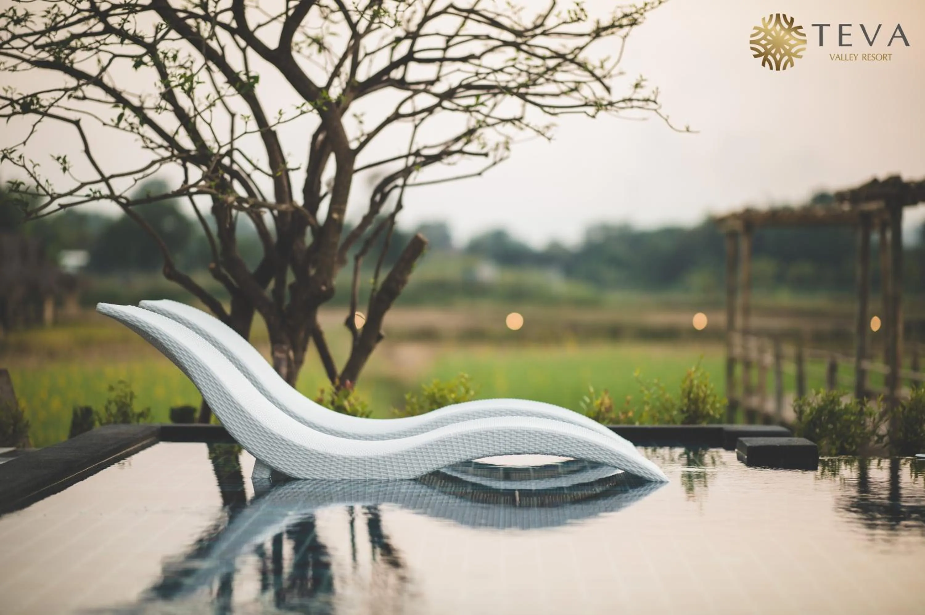 Swimming pool in TEVA Valley Resort