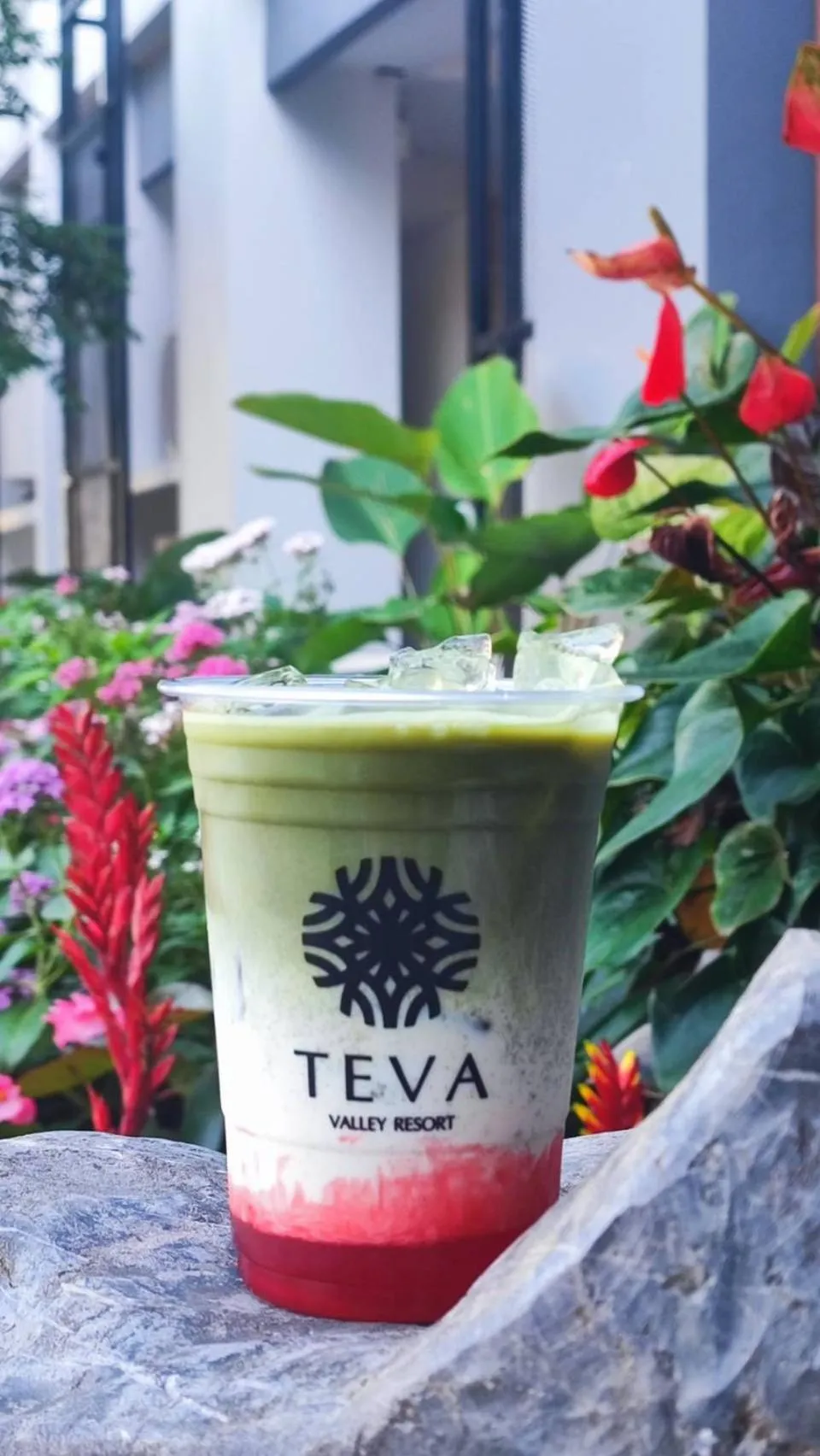 Garden in TEVA Valley Resort