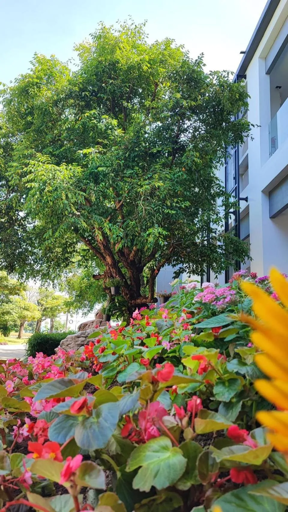 Facade/entrance in TEVA Valley Resort