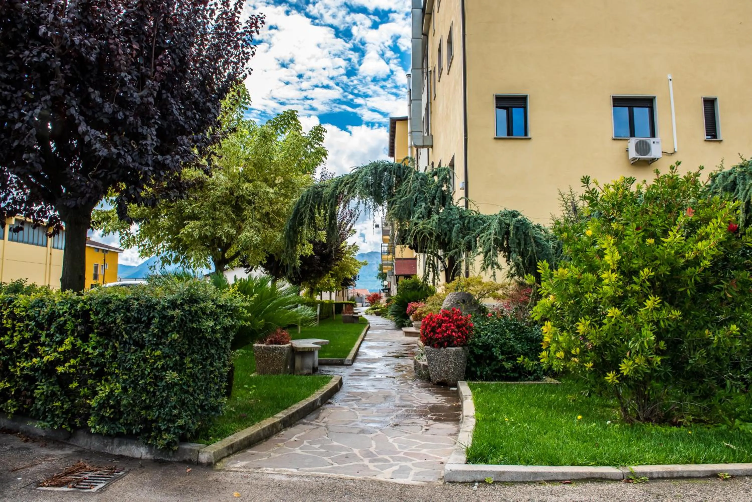 Garden in Magic Hotel