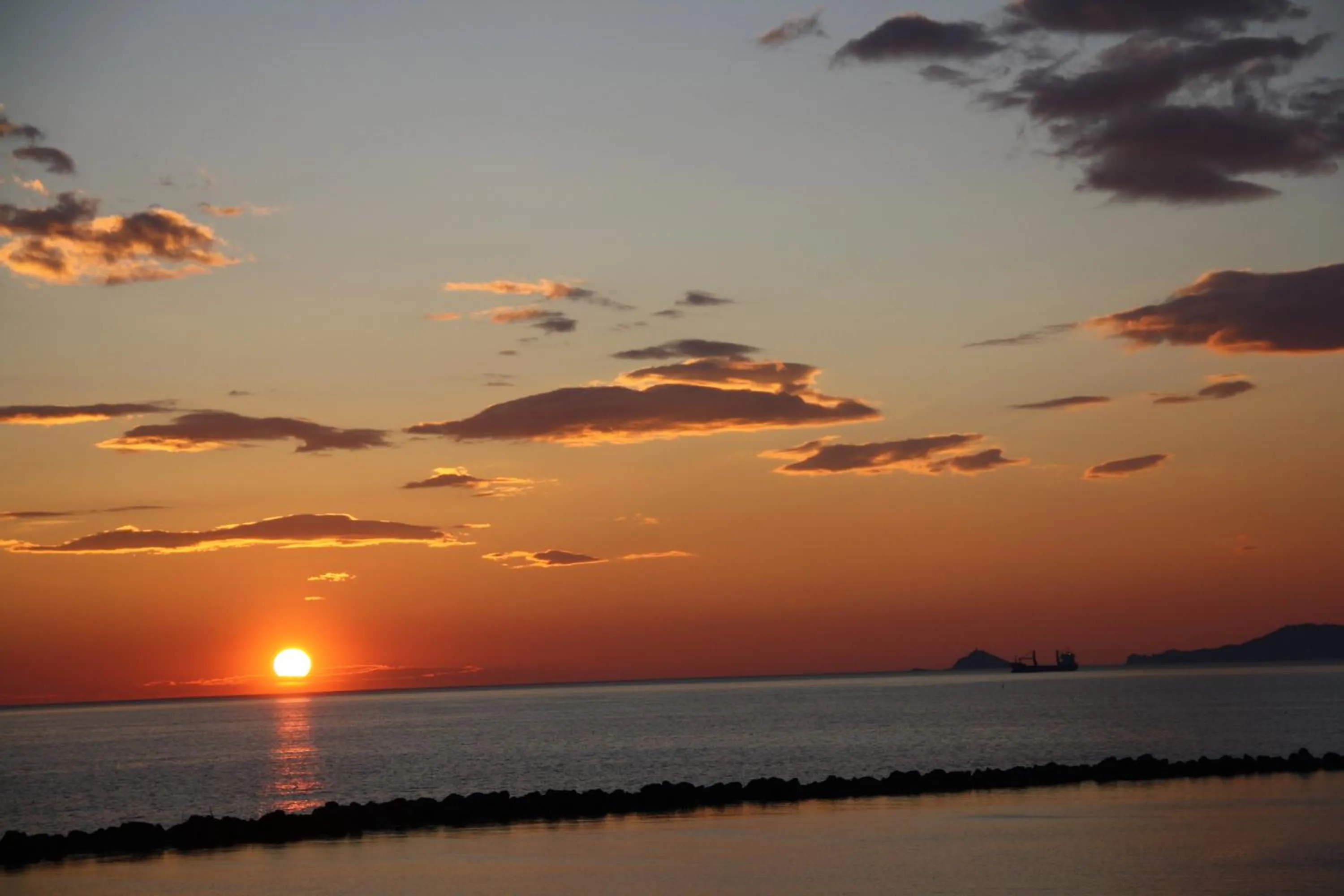 Summer in Hotel Parma Mare