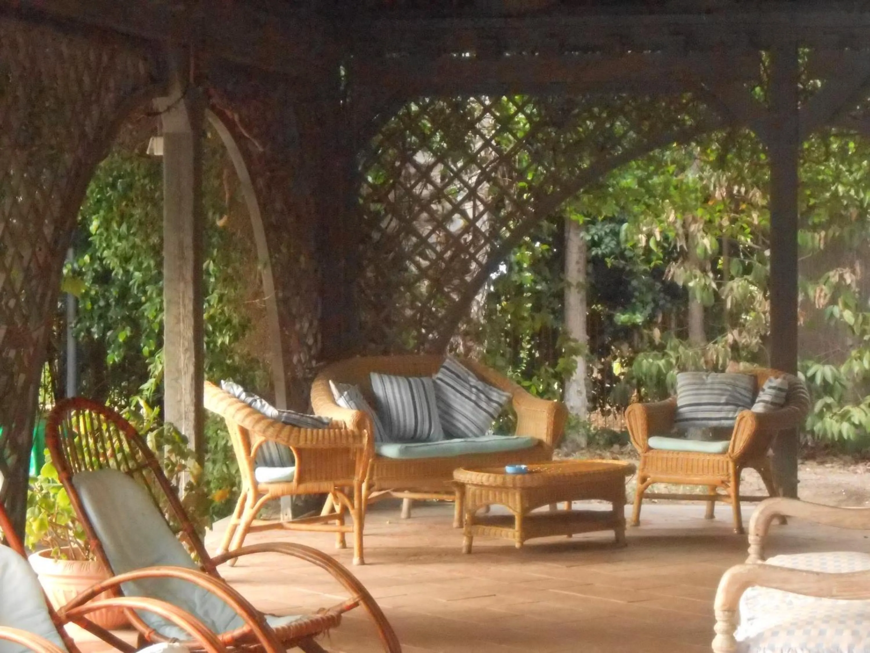 Garden in All'Ombra del Palmeto