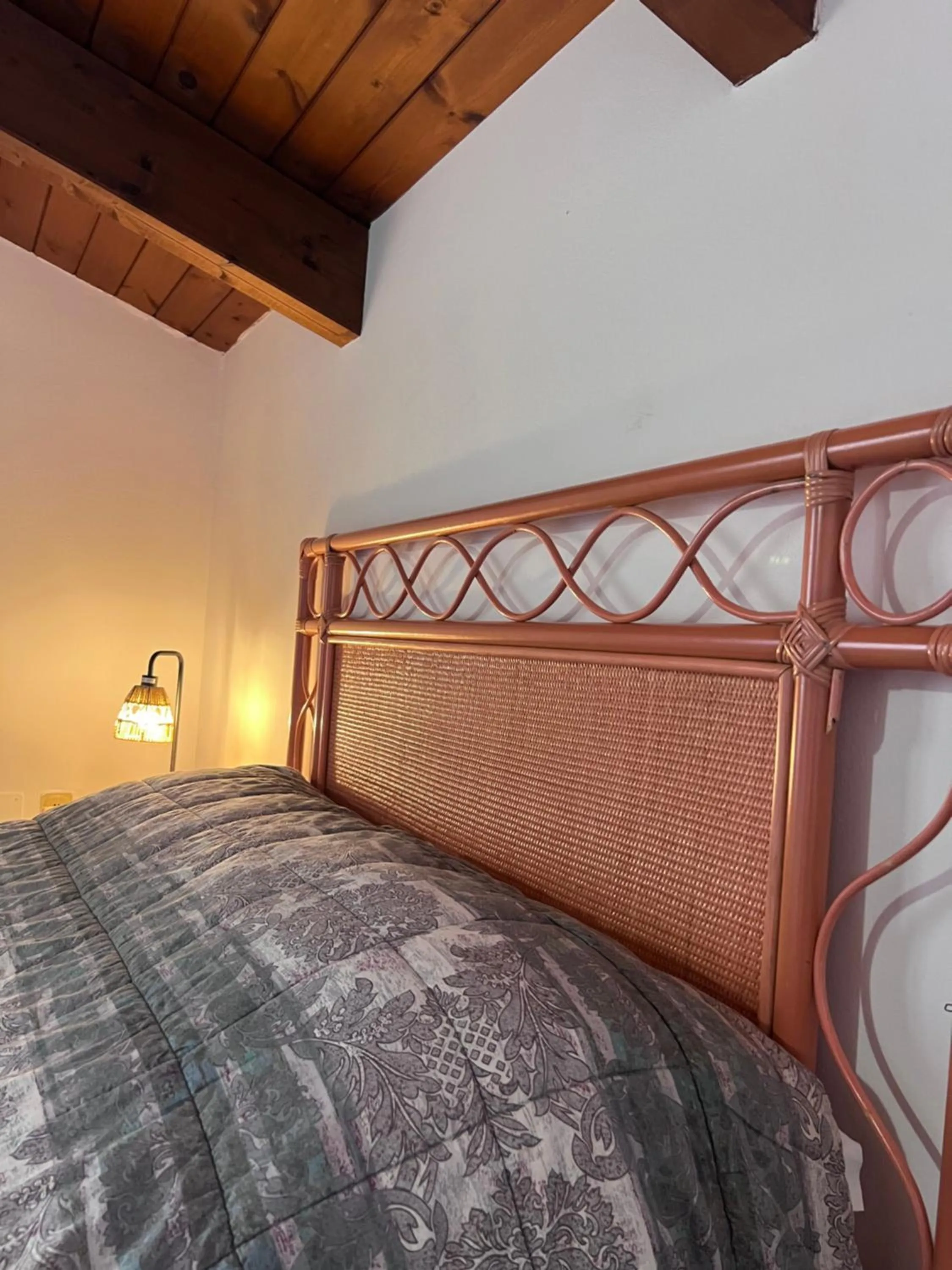 All'Ombra del Palmeto