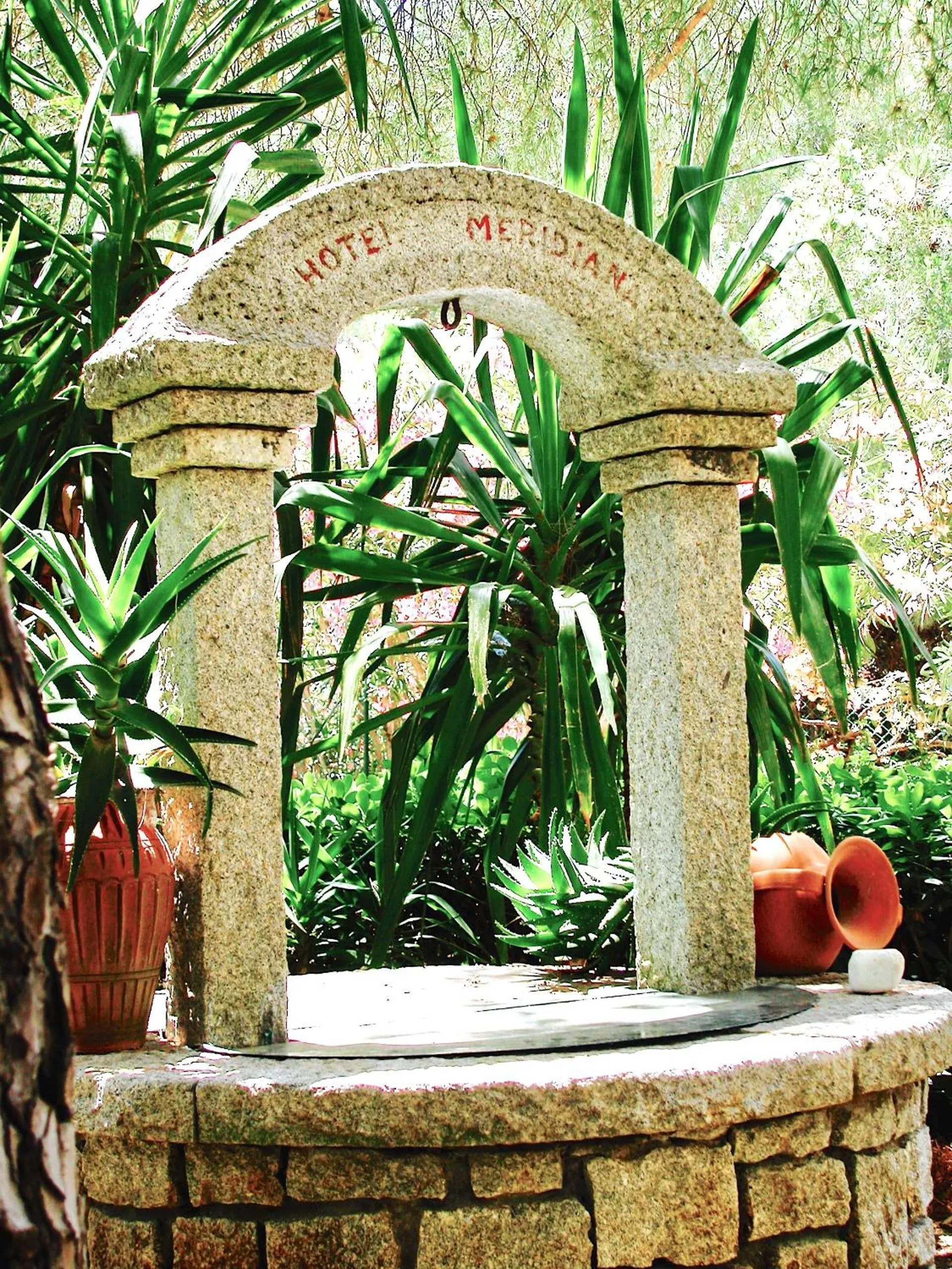 Garden in Hotel Meridiana