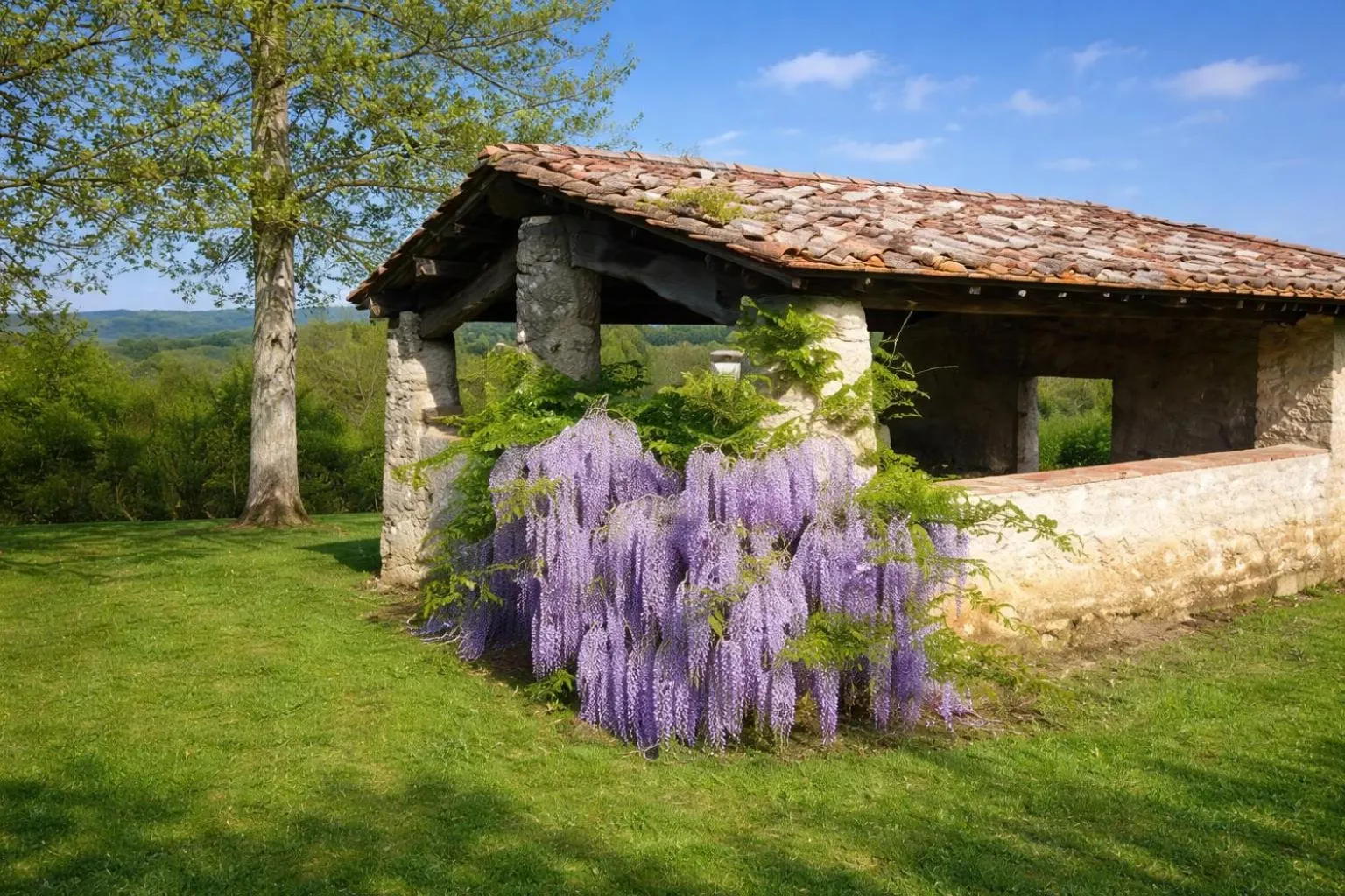 Property building in Fattoria Agriturismo Nerbona