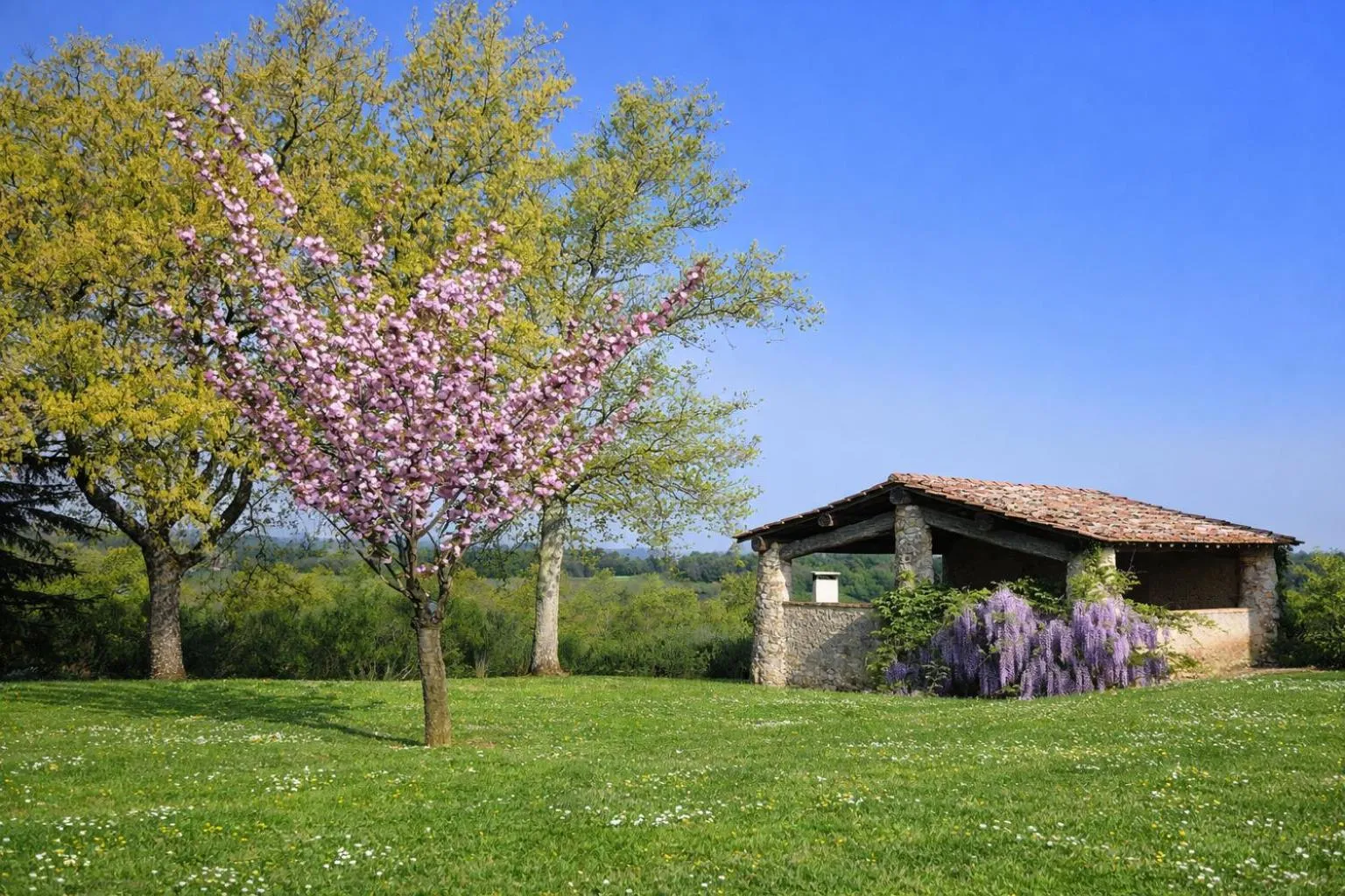 Property building in Fattoria Agriturismo Nerbona