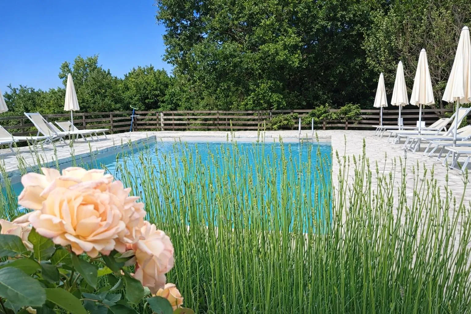 Spring in Fattoria Agriturismo Nerbona