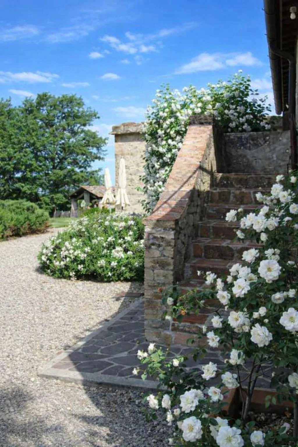 Facade/entrance in Fattoria Agriturismo Nerbona