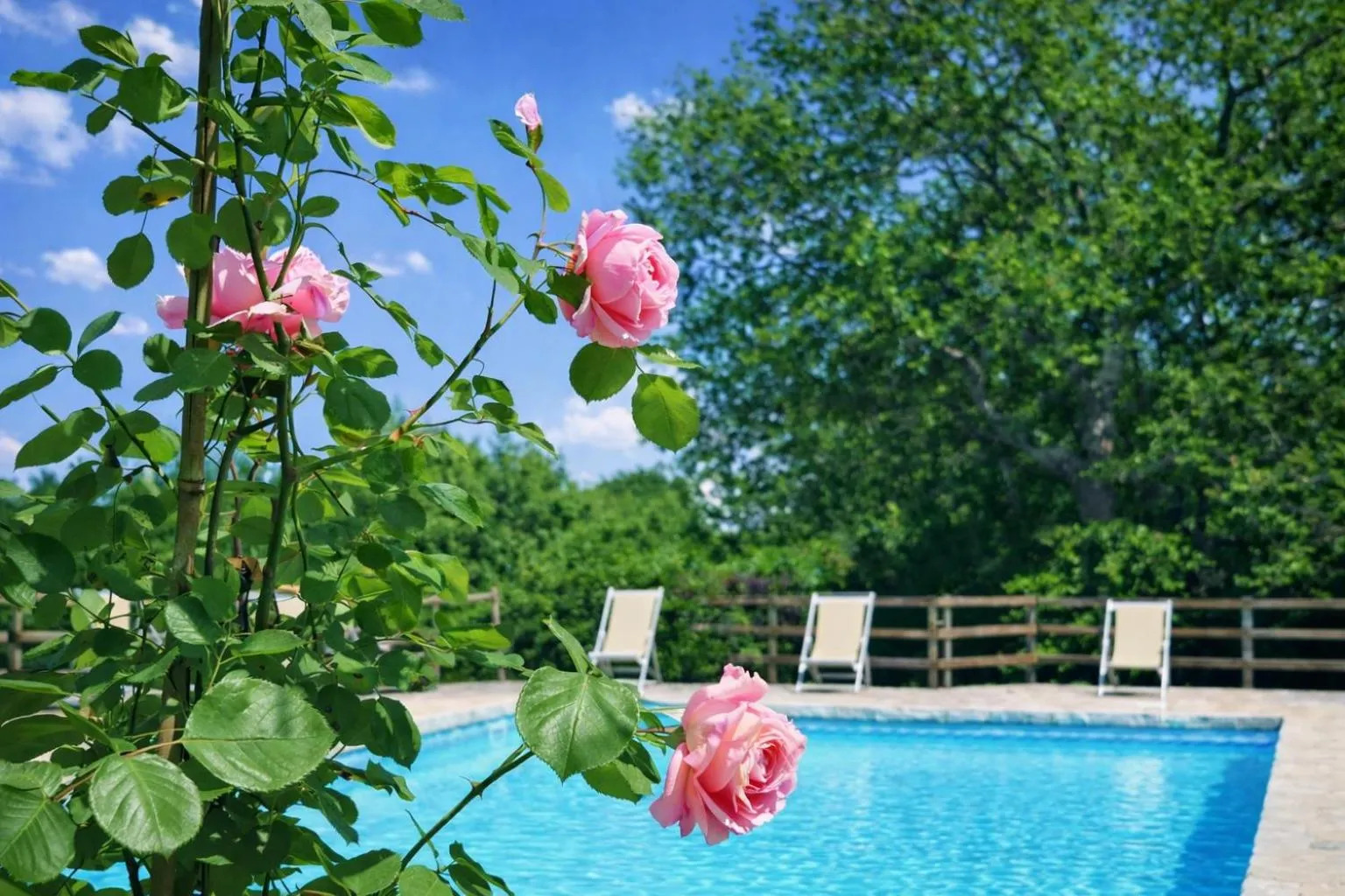 Spring in Fattoria Agriturismo Nerbona