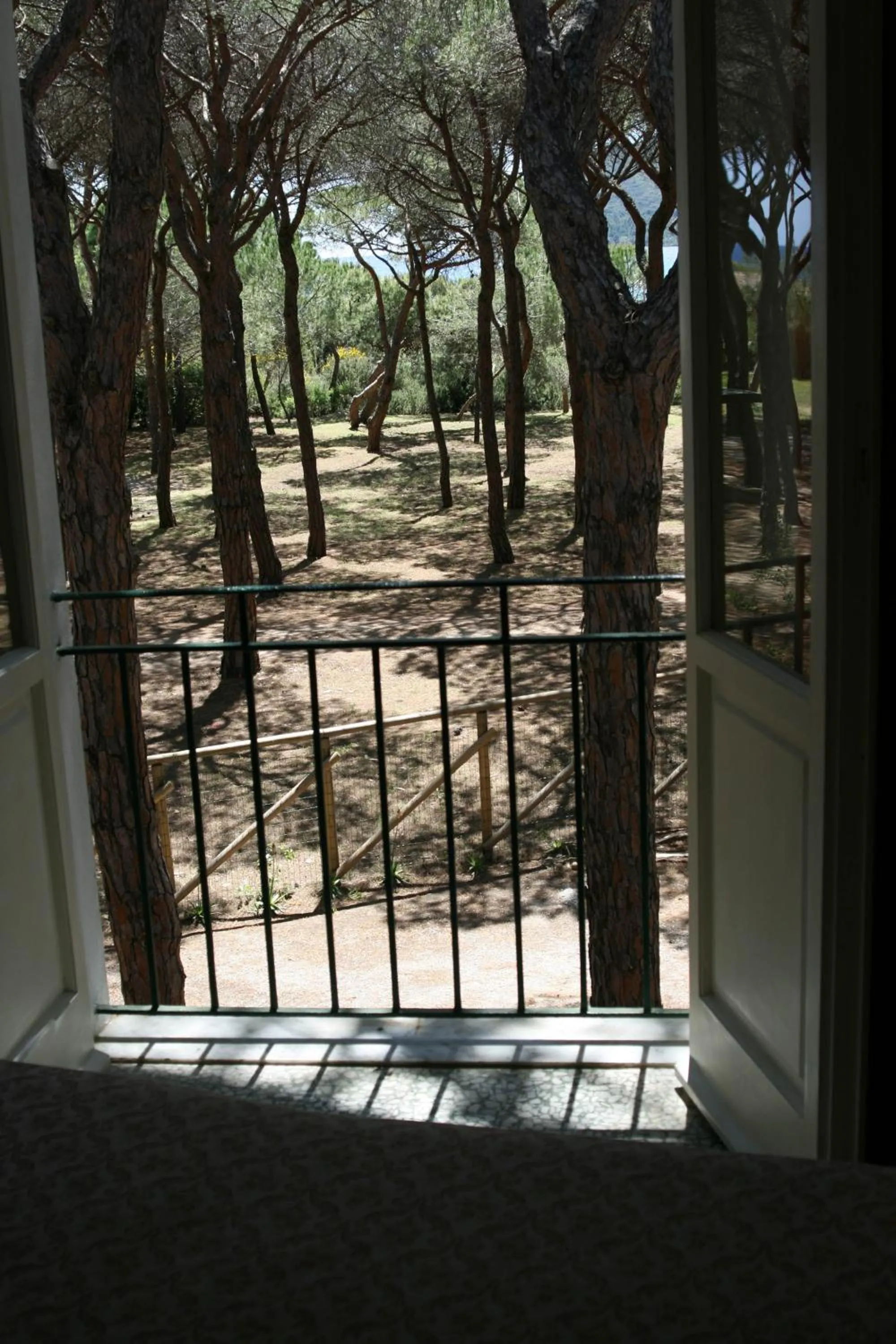 View (from property/room) in Hotel Villa Nettuno