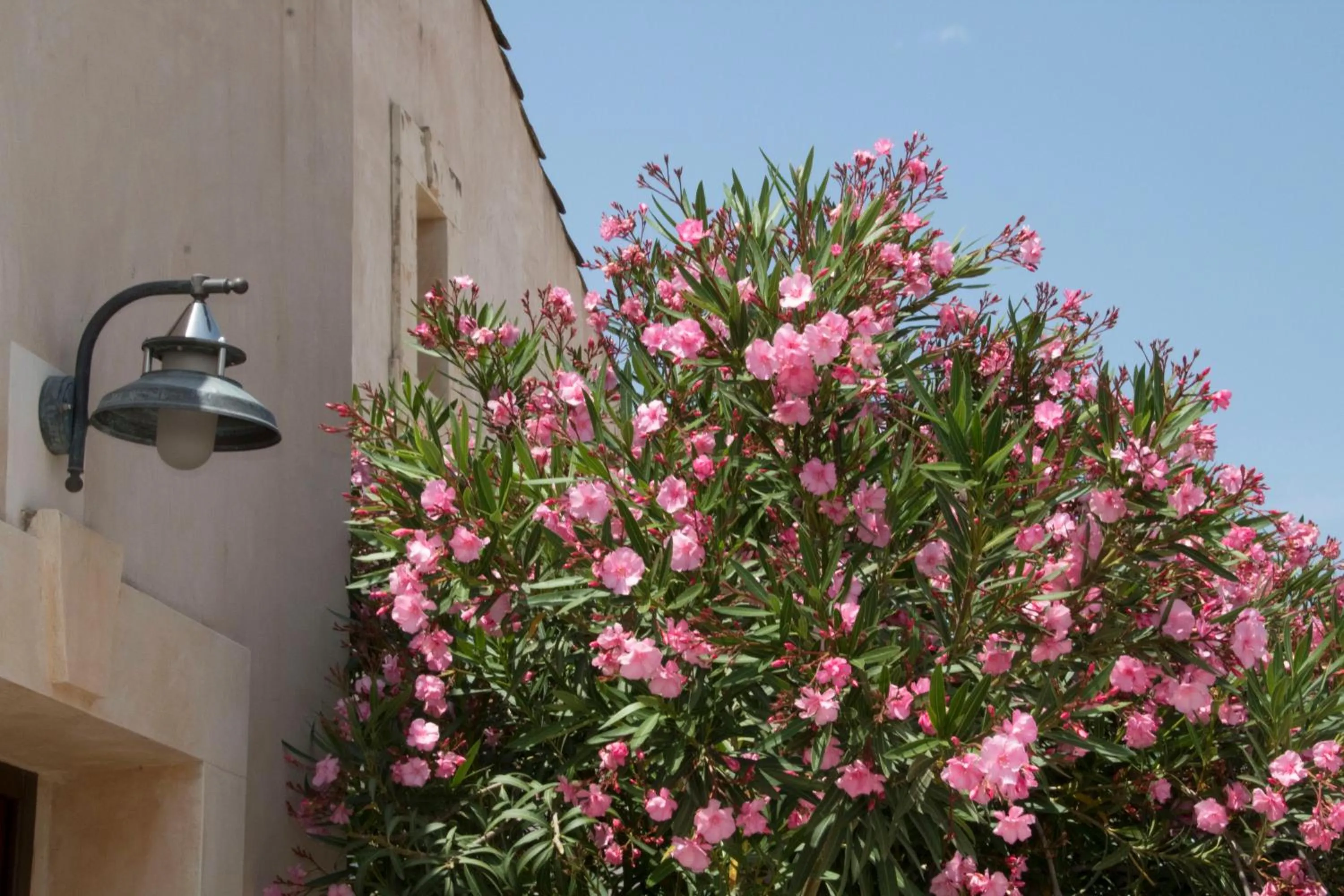 Day in Case Vacanza SANT'AGOSTINO Siracusa