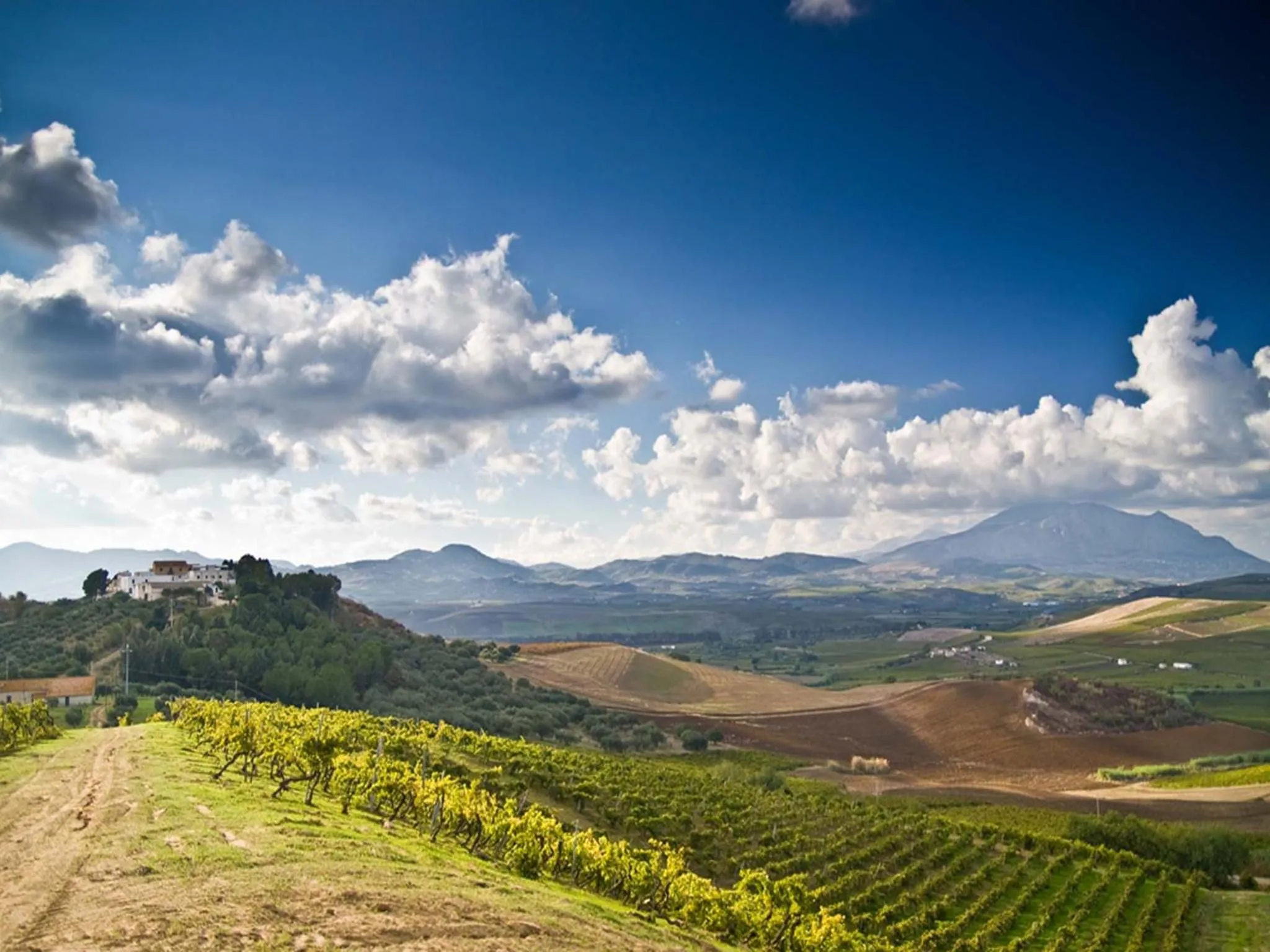 Day in Agriturismo Sirignano Wine Resort