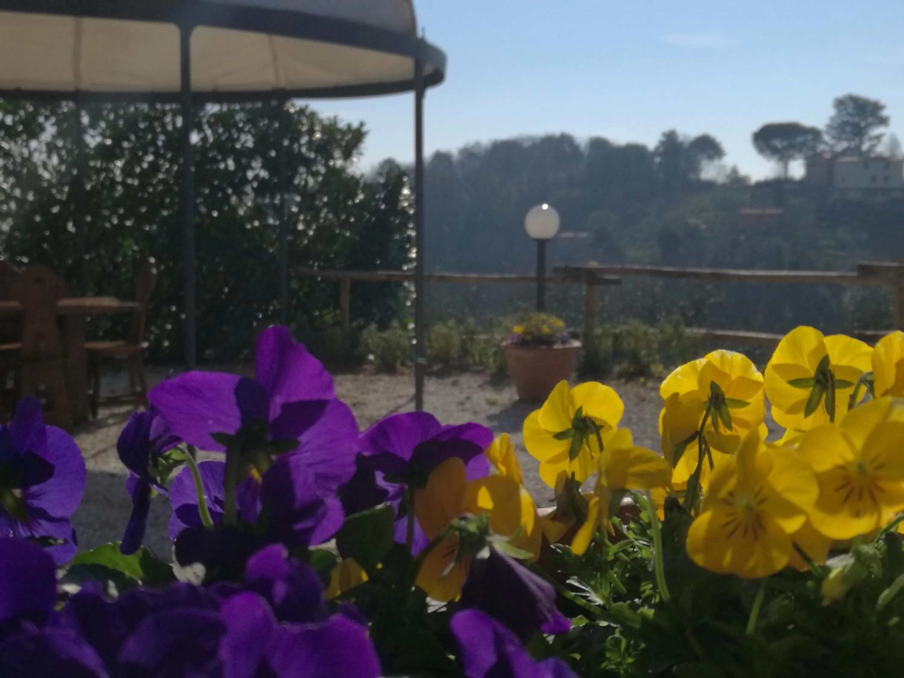 Natural landscape in Olivia B&B and Apartment