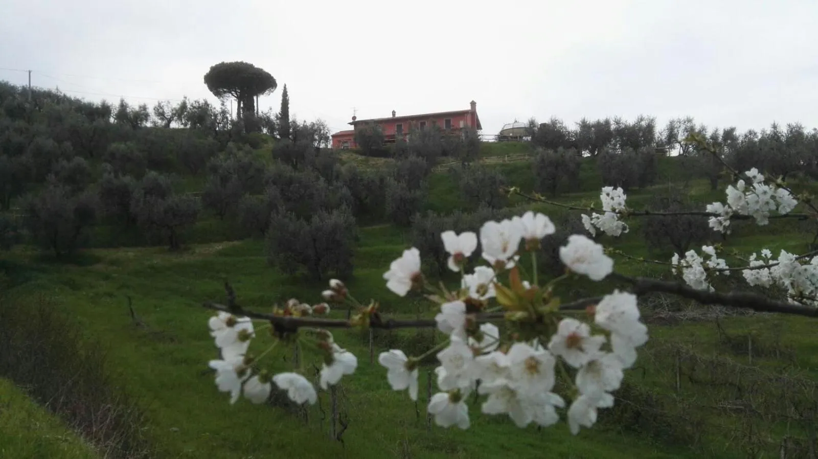 Natural landscape in Olivia B&B and Apartment