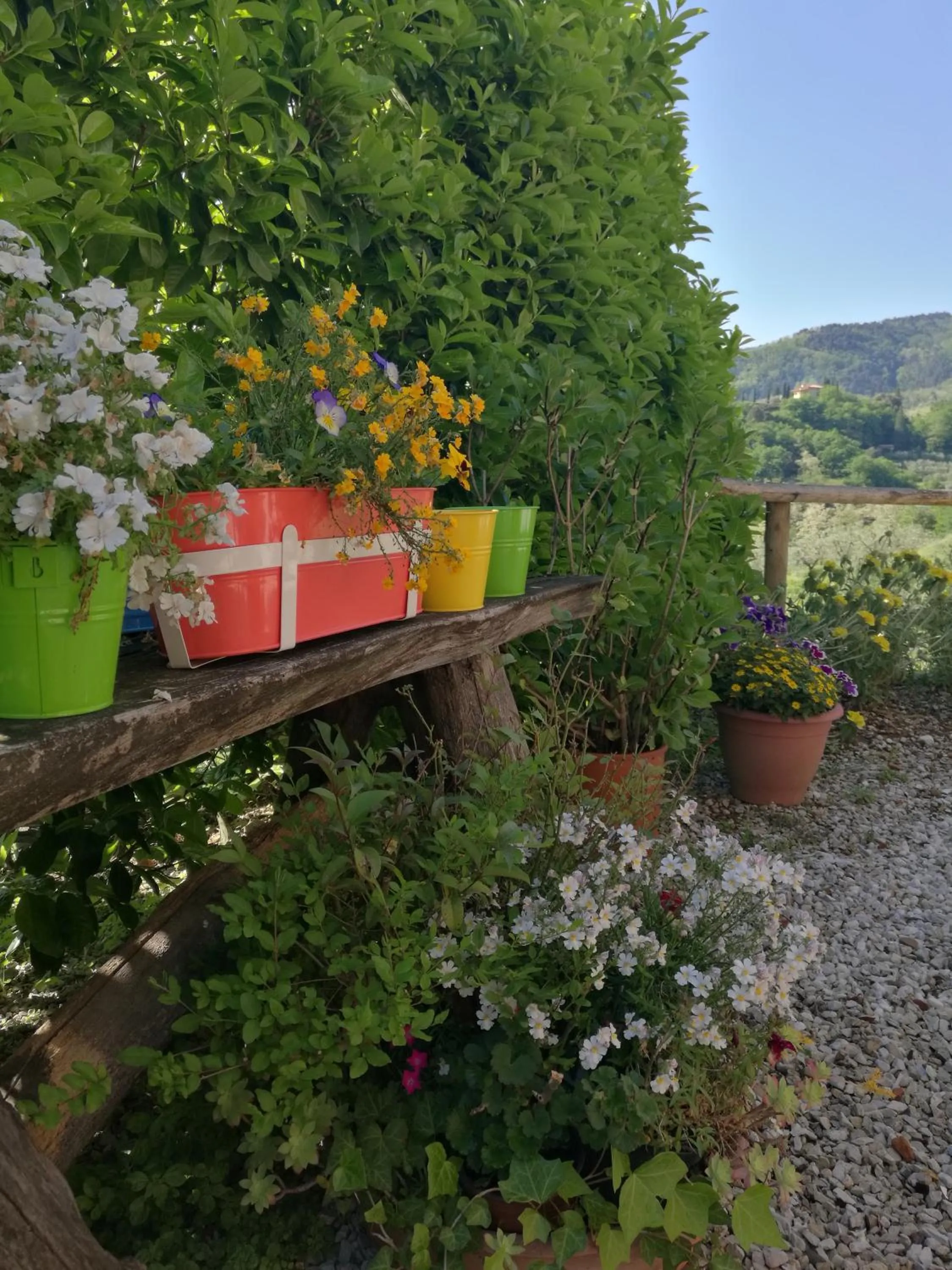 Natural landscape in Olivia B&B and Apartment