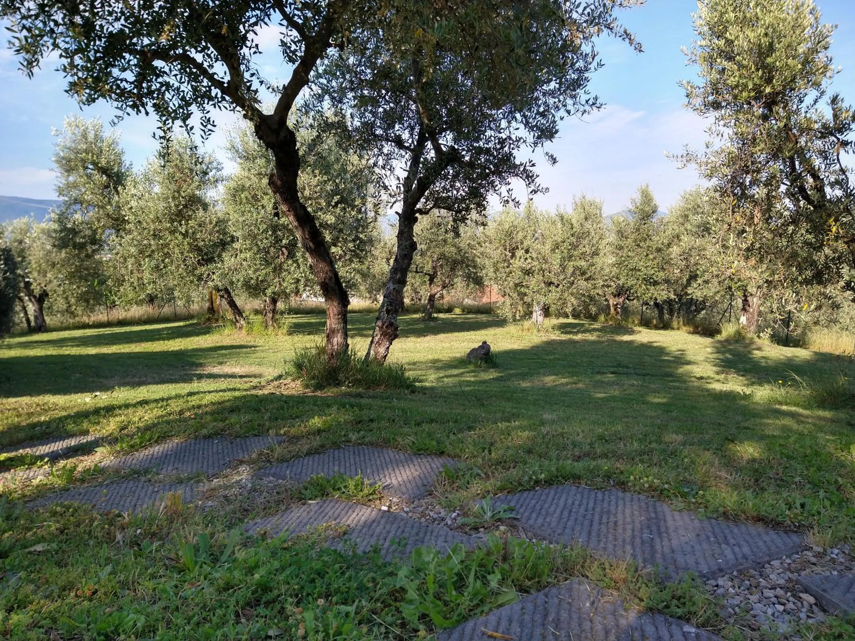 Olivia B&B and Apartment