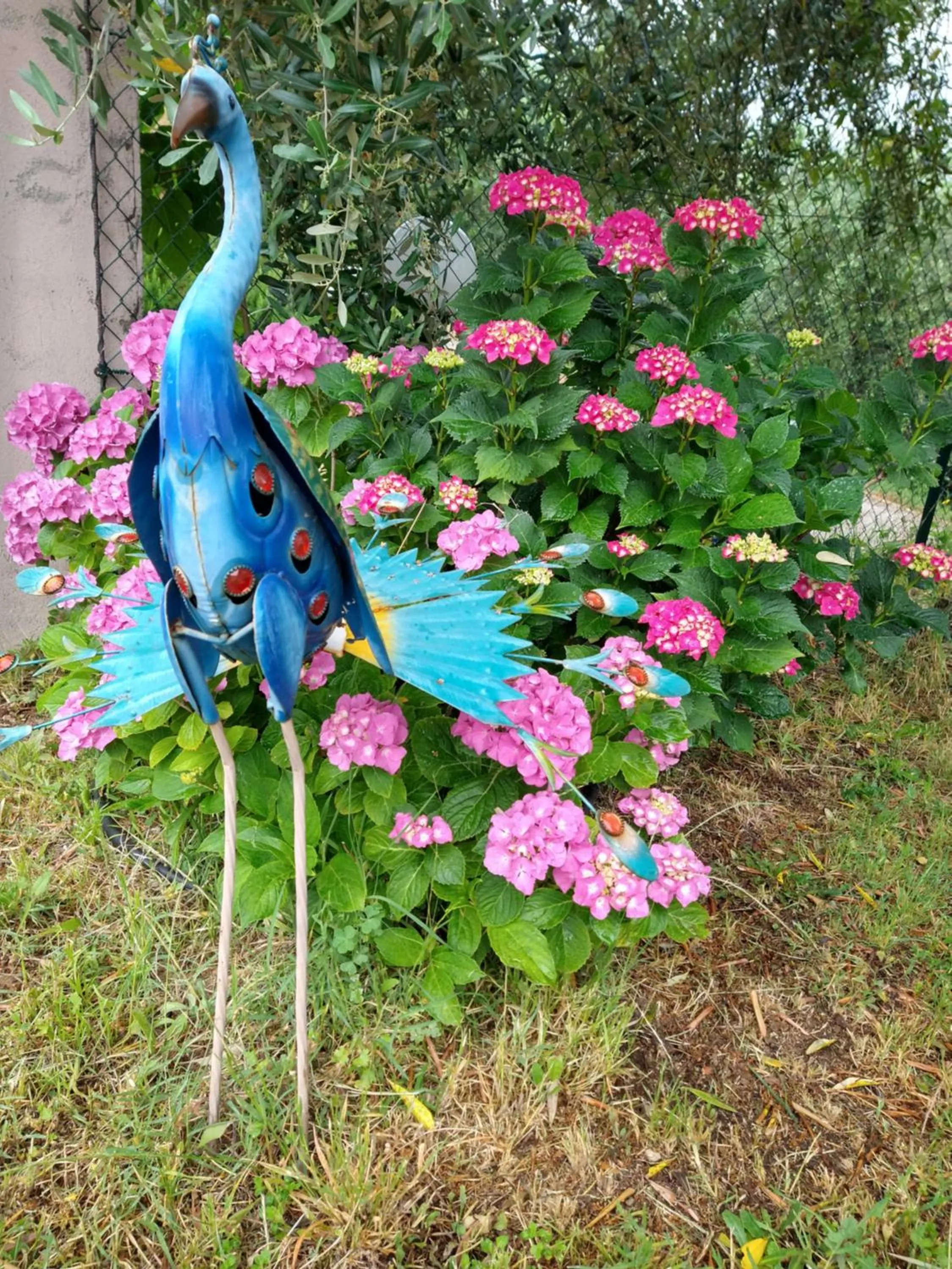 Olivia B&B and Apartment