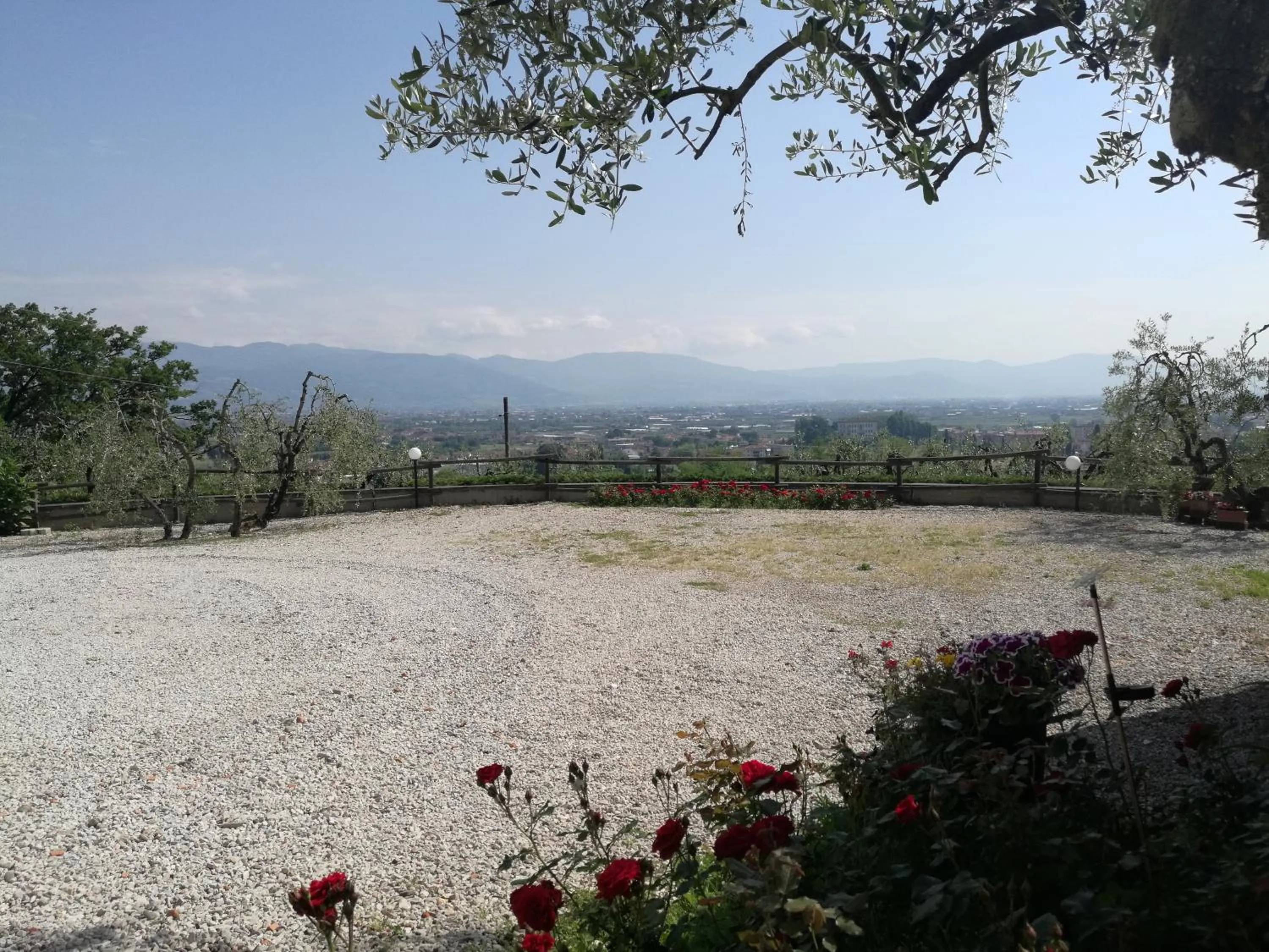 Area and facilities in Olivia B&B and Apartment