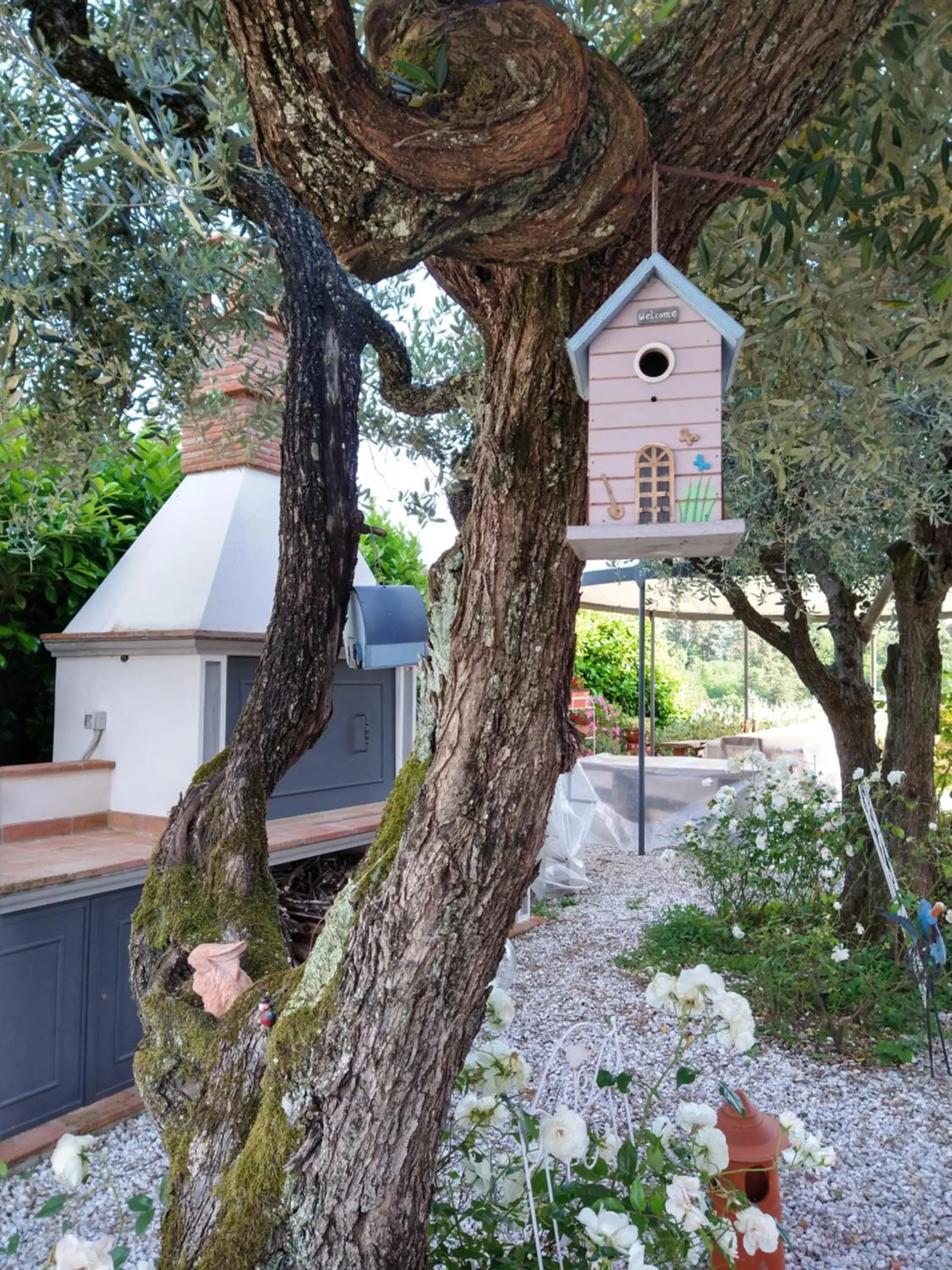 Olivia B&B and Apartment